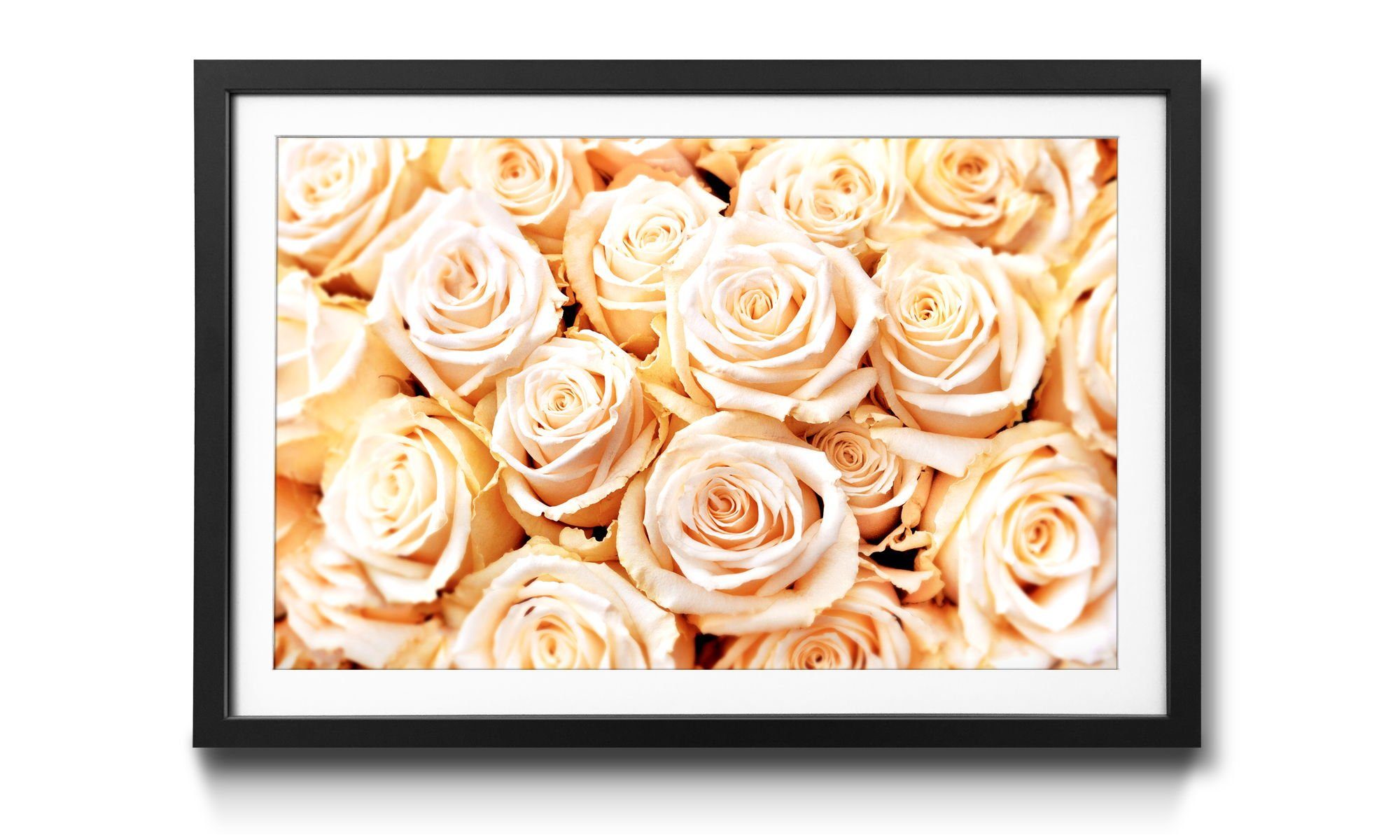 Qualitätsgarantie WandbilderXXL Bild mit Creamy Roses, in Blumen, 4 Wandbild, Größen Rahmen erhältlich