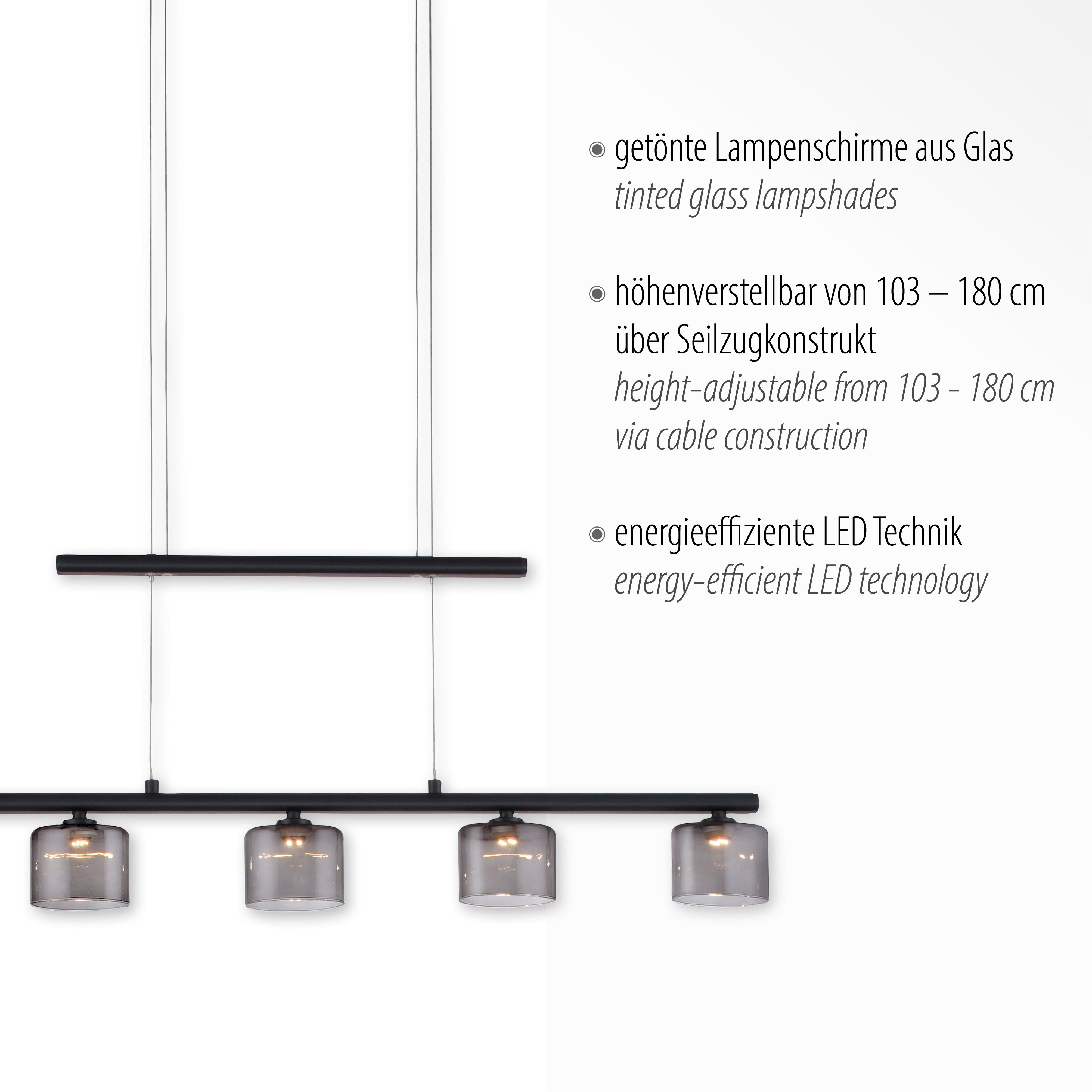 Paul Neuhaus Pendelleuchte HYDRA, LED LED integriert, fest Warmweiß