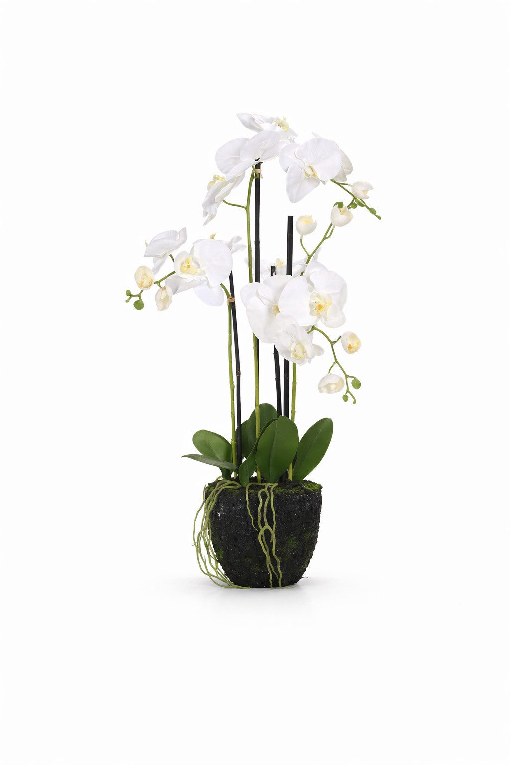 Kunstblume Künstliche Orchidee, Arrangement im Erdballen, 75 cm, Dahlia Studios, Höhe 75 cm