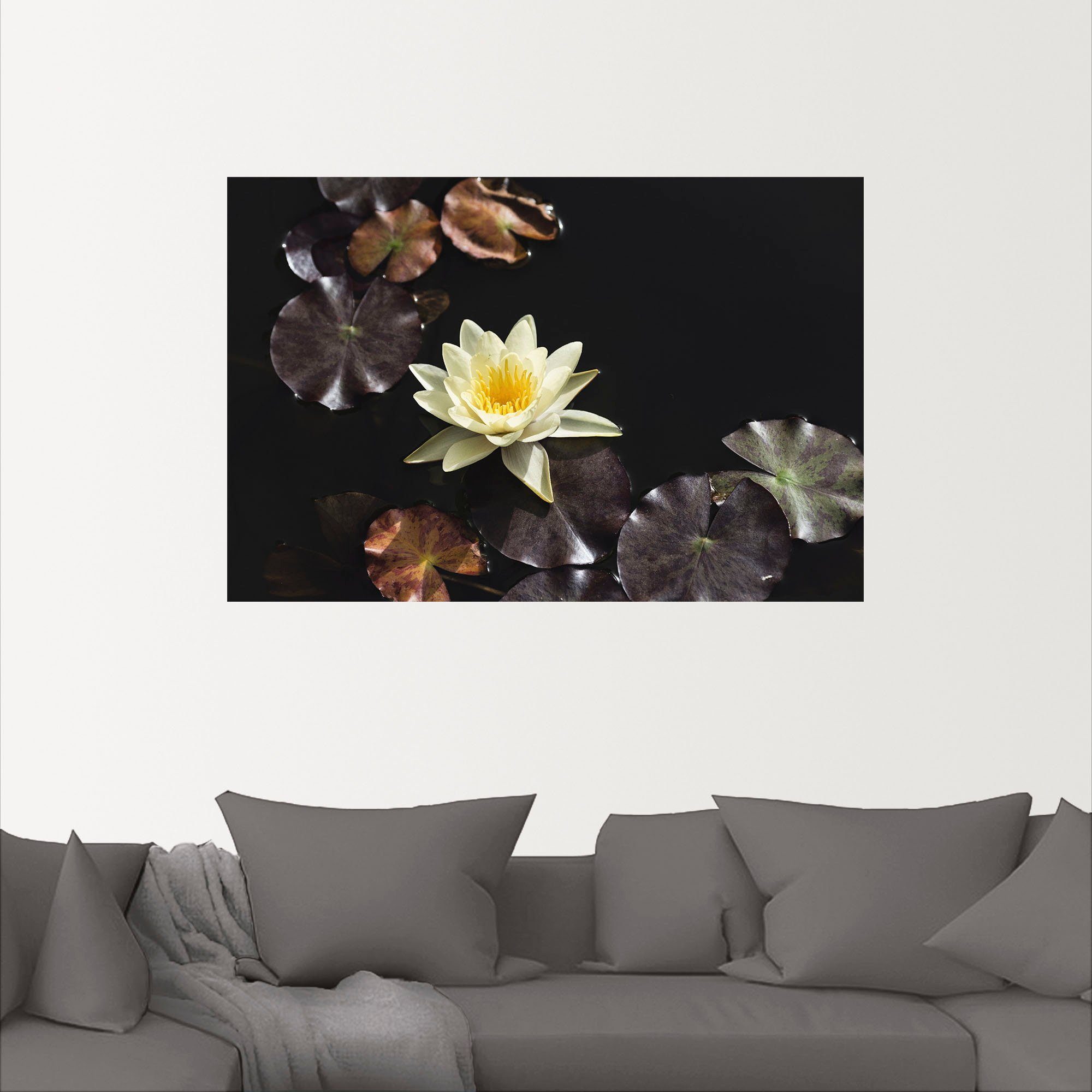 als oder in Alubild, Poster Größen Seerosenbild, (1 Leinwandbild, St), Wandbild Wandaufkleber Artland Blumenbilder versch.