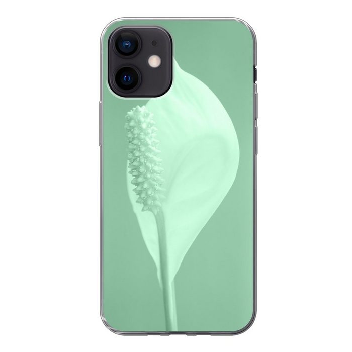 MuchoWow Handyhülle Mintgrüne Eukalyptuspflanze Handyhülle Apple iPhone 12 Smartphone-Bumper Print Handy