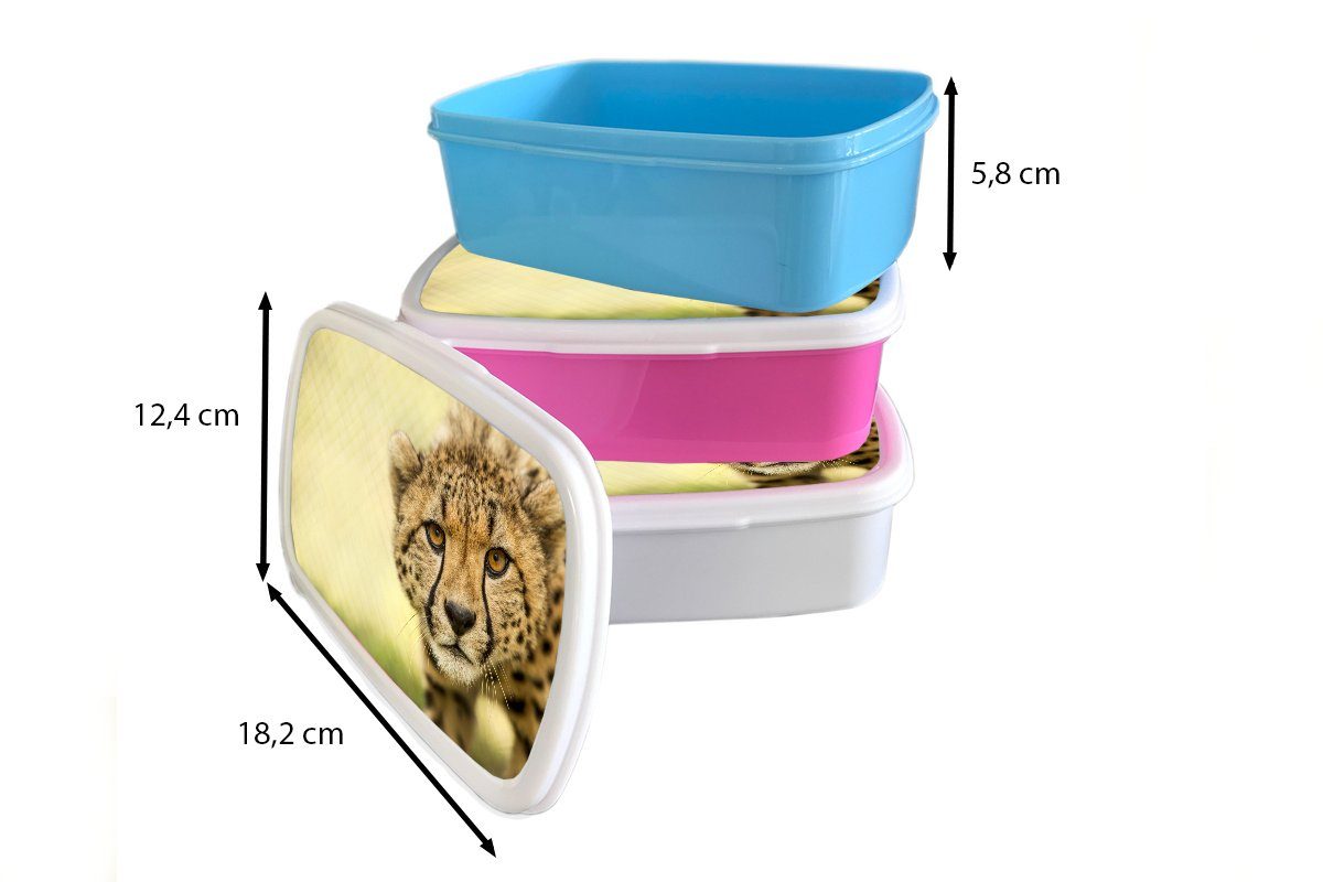 Lunchbox - (2-tlg), Leopard für Mädchen MuchoWow weiß Kunststoff, - Gepard für Brotbox und Brotdose, und Erwachsene, Jungs Kinder Tier,
