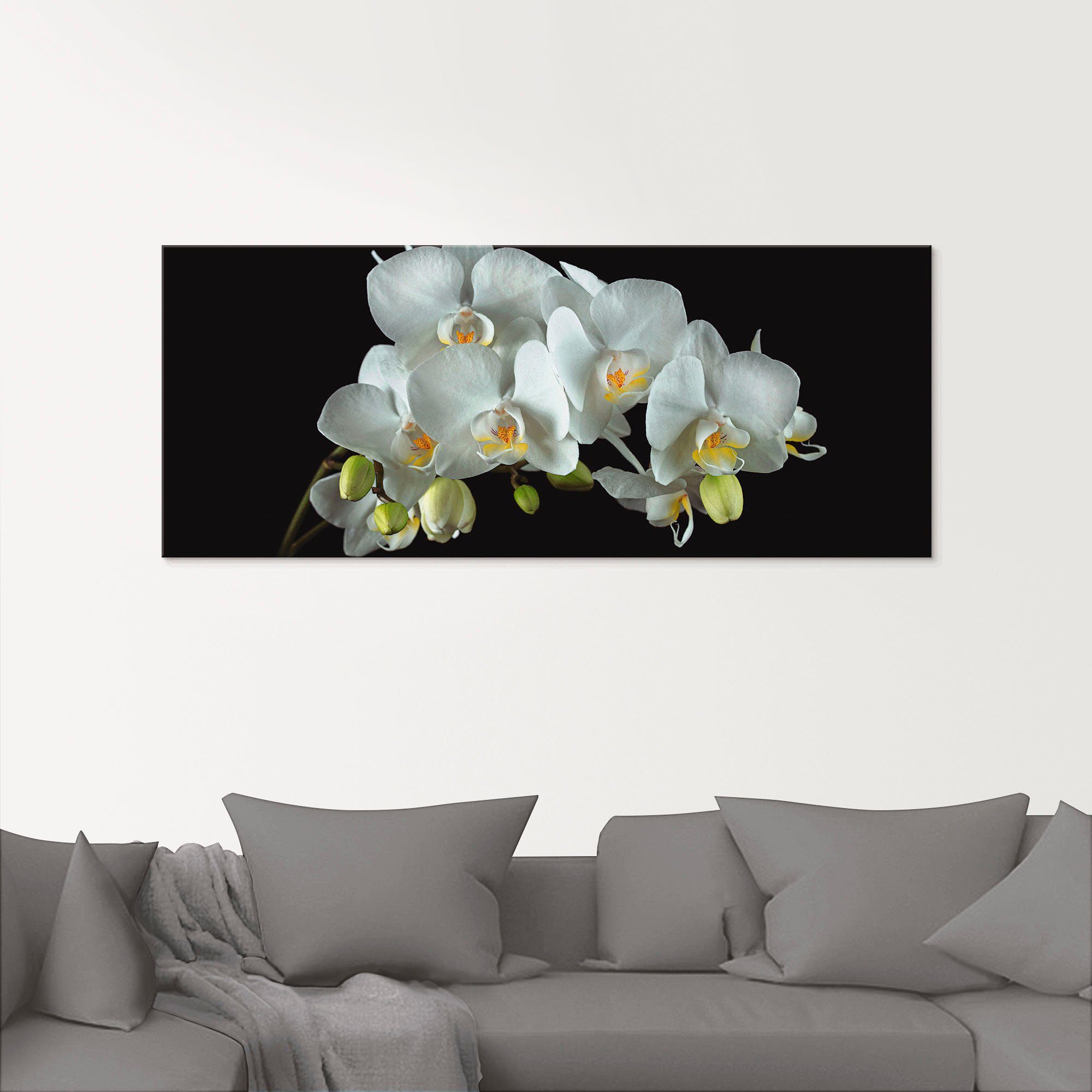 Glasbild Artland Orchidee auf St), Blumen Hintergrund, Weiße Größen schwarzem in (1 verschiedenen