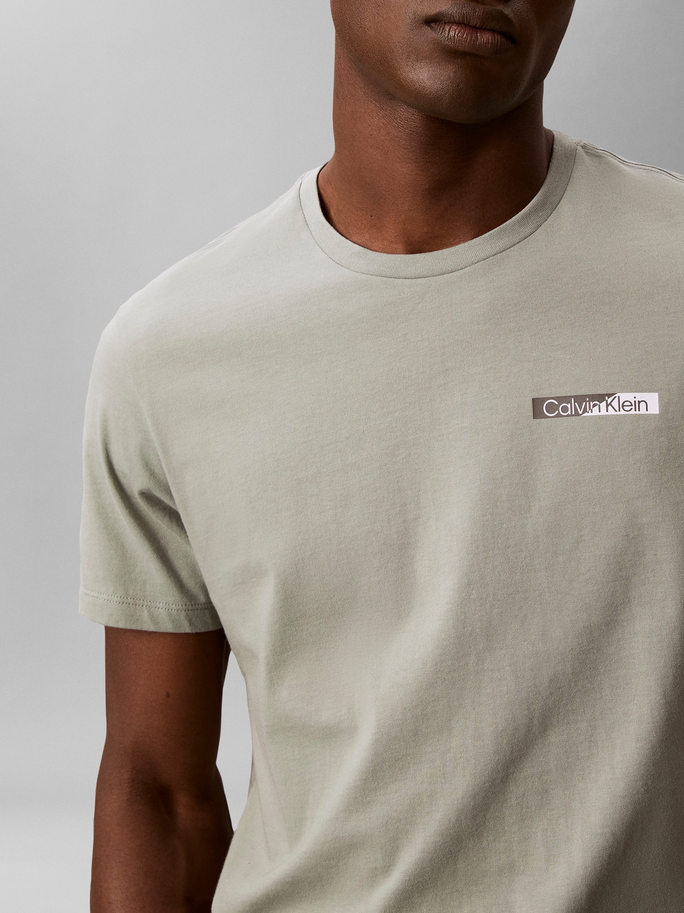 Calvin Klein T-Shirt reine Baumwolle, Regular Fit, Brust- und Rückendruck