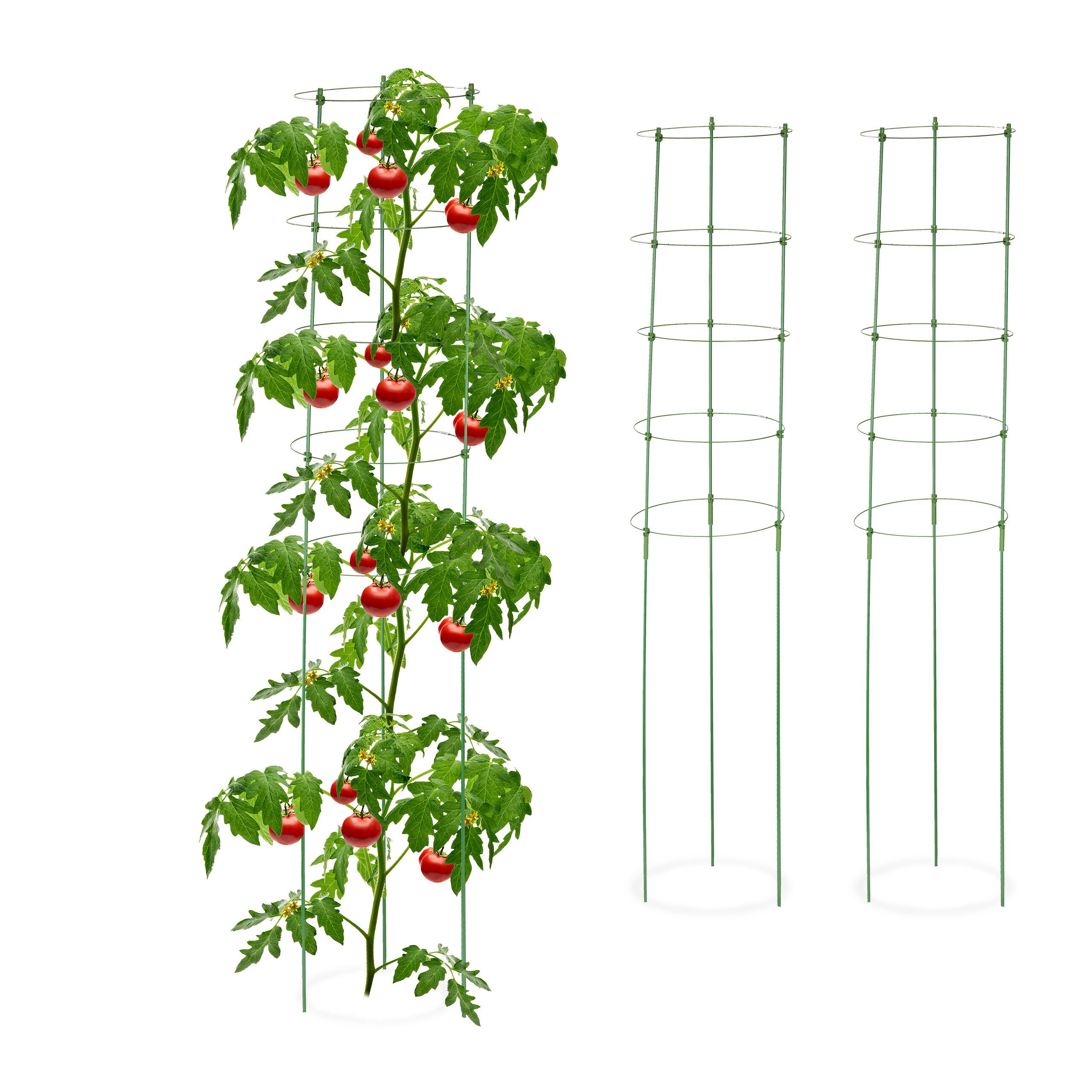 relaxdays Rankhilfe 150 cm 3er Set günstig online kaufen