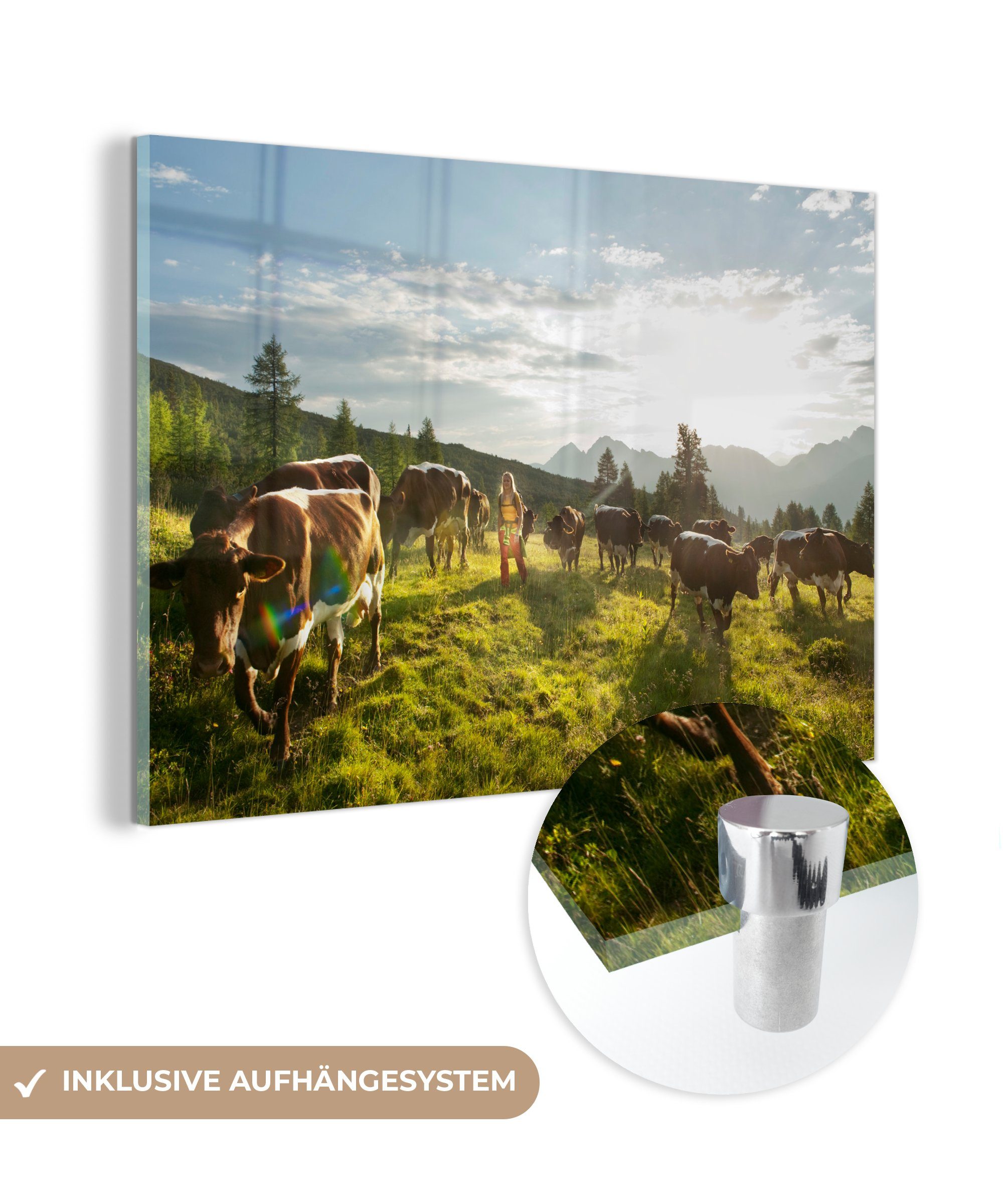 MuchoWow Acrylglasbild Wiese mit Kühen in Österreich, (1 St), Acrylglasbilder Wohnzimmer & Schlafzimmer