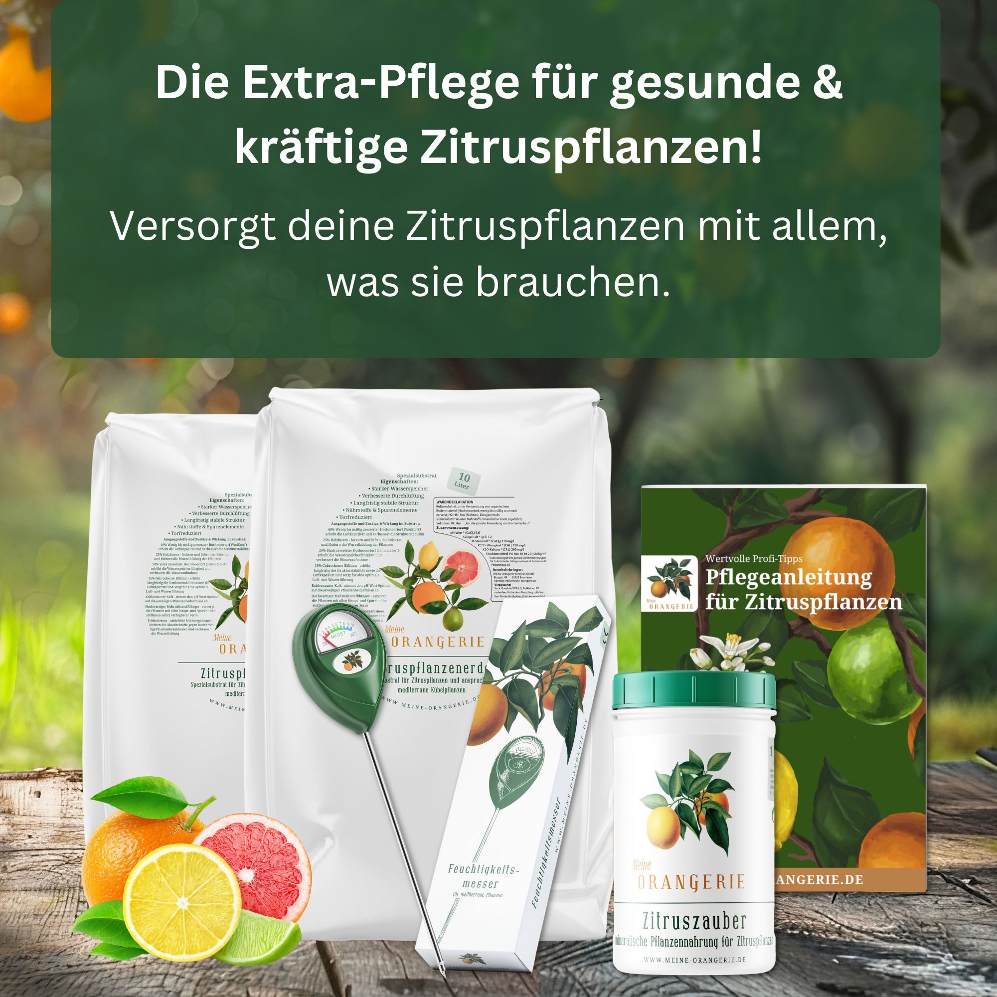 Meine Orangerie Gartenpflege-Set Citrus Pflegepaket Mezzo - mittleres Pflegeset für Zitruspflanzen, inkl. Zitrusdünger, Zitruserde, Feuchtigkeitsmesser & Pflegebroschüre