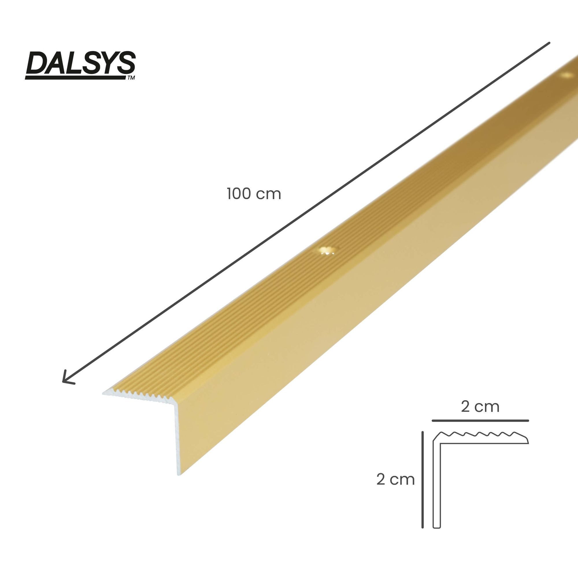 Dalsys Treppenkantenprofil (Aluminium, 1-St), Winkelprofil aus günstig online kaufen