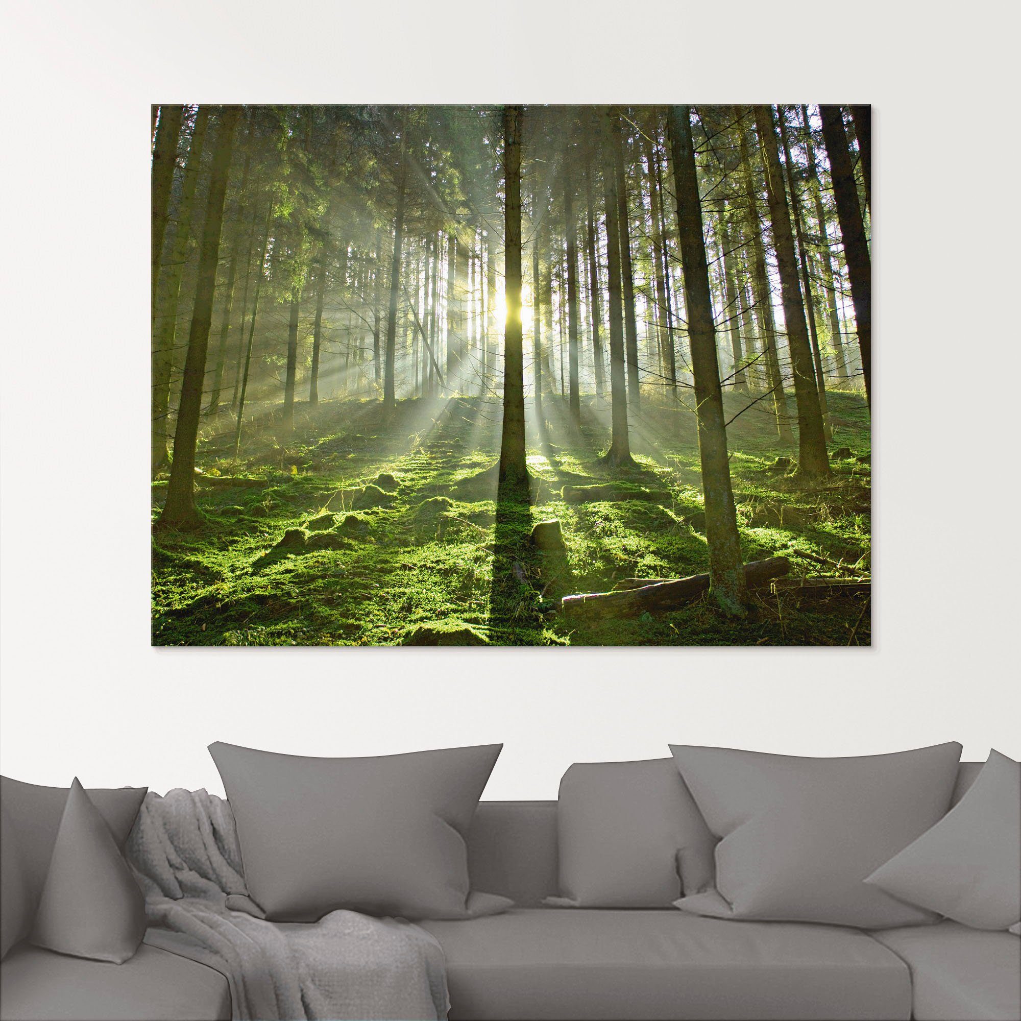 Artland Glasbild Wald im Gegenlicht, Wald günstig online kaufen
