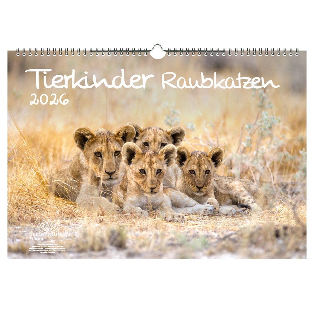 Seelenzauber Wandkalender Tierkinder Raubkatzen DIN A3 Kalender für 2026 verschiedene Raubkatzen