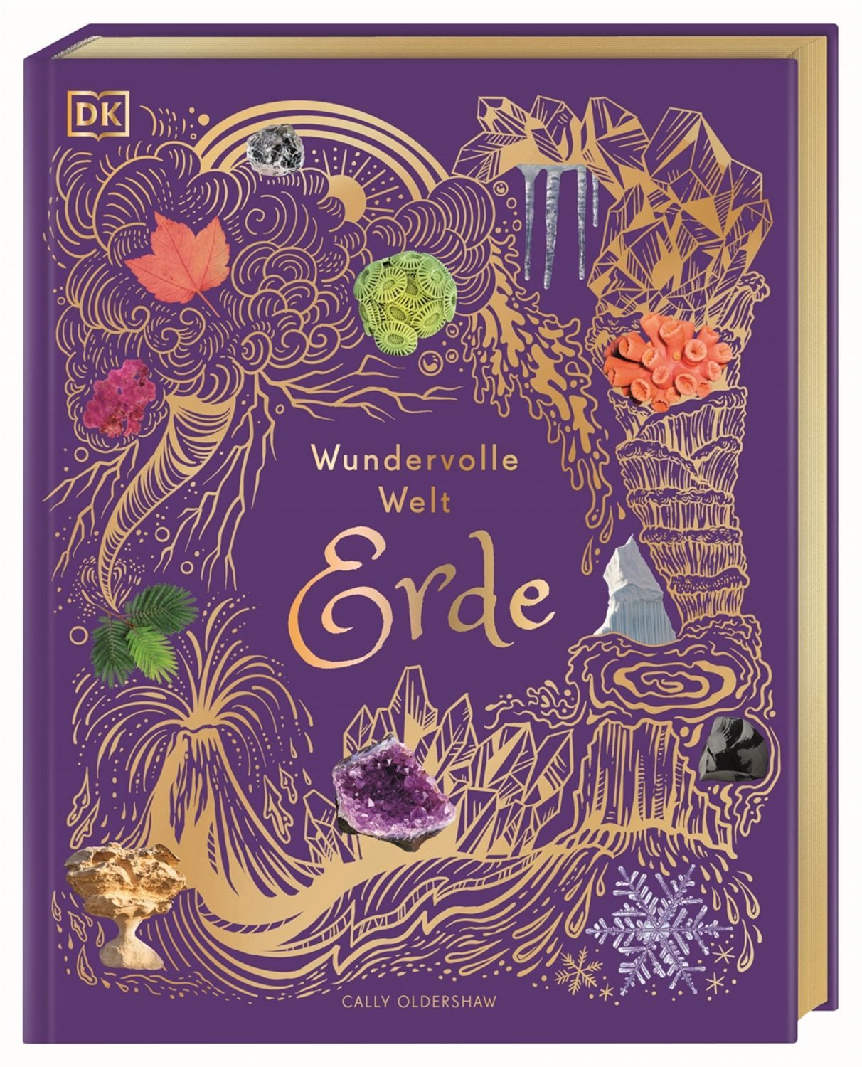 Wundervolle Welt. Erde / Cally Oldershaw