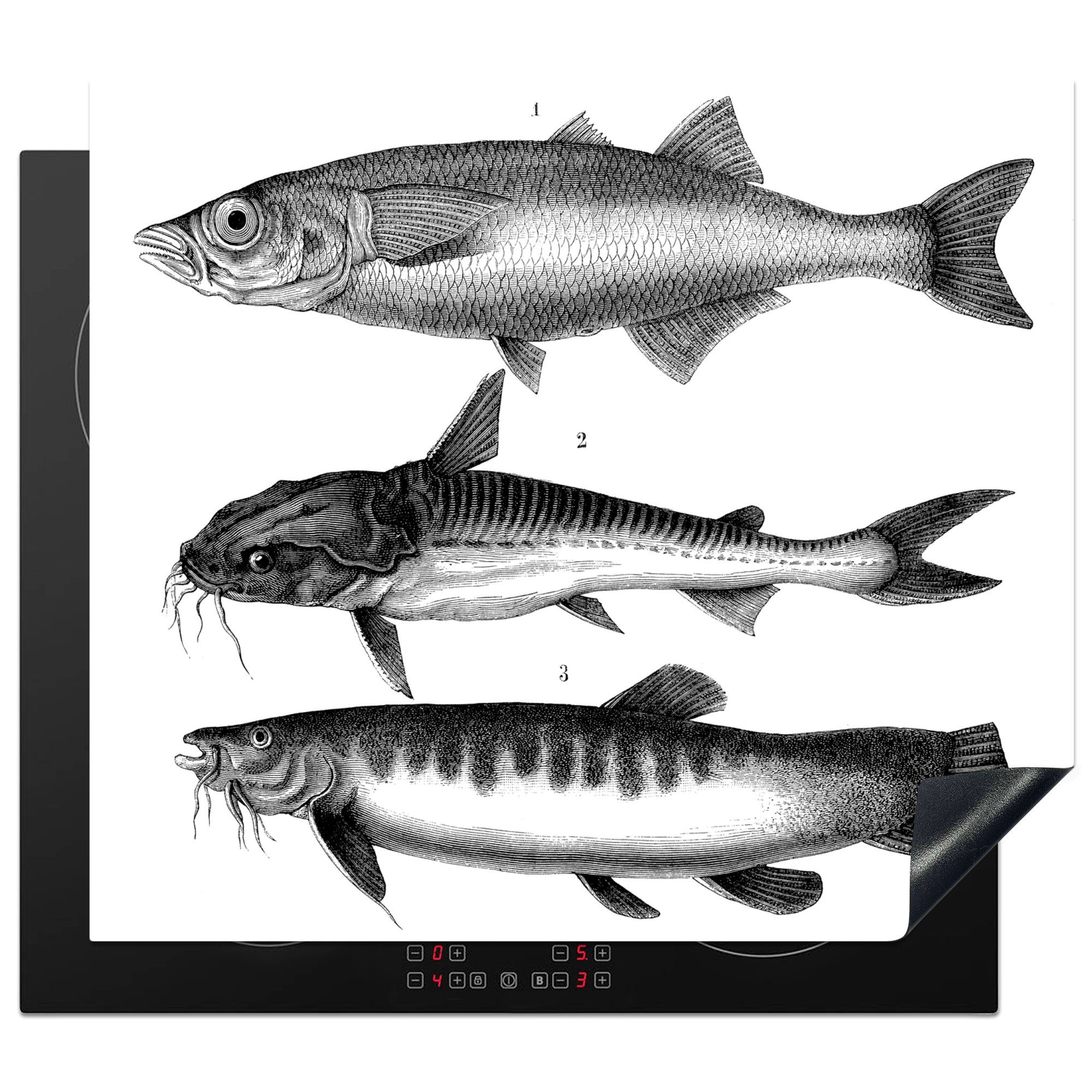 MuchoWow Herdblende-/Abdeckplatte Eine schwarz-weiße Illustration von drei Fischen, Vinyl, (1 tlg), 59x52 cm, Ceranfeldabdeckung für die küche, Induktionsmatte