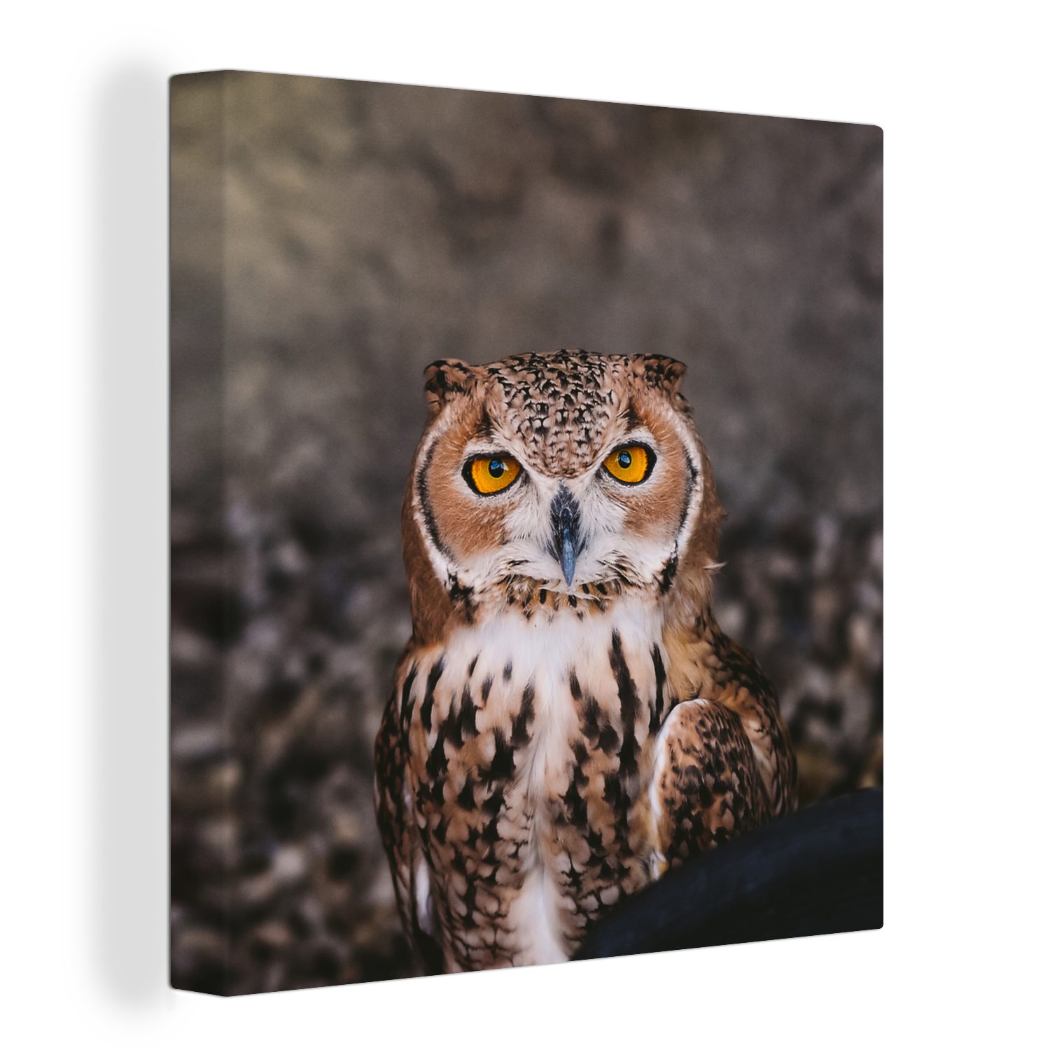 OneMillionCanvasses® Leinwandbild Braune Eule - Vogel - Tiere, (1 St), Leinwand Bilder für Wohnzimmer Schlafzimmer