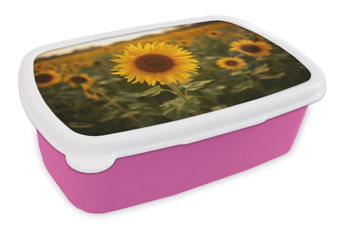MuchoWow Lunchbox Sonnenblume - Landschaft - Bangladesch, Kunststoff, (2-tlg), Brotbox für Erwachsene, Brotdose Kinder, Snackbox, Mädchen, Kunststoff rosa