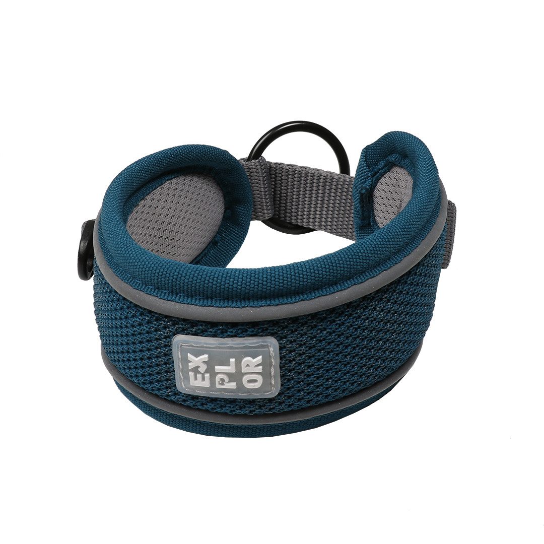 DUVO+ Hunde-Halsband Duvoplus EXPLOR Ultimate Fit Control Halsband Classic - petrol blue von DUVO+