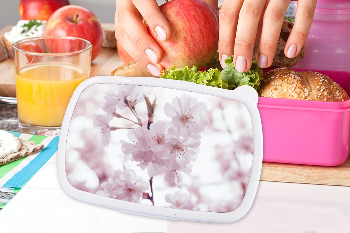 MuchoWow Brotdose - Kunststoff, (2-tlg), für Kunststoff Blumen Brotbox Lunchbox Zweig rosa - Kinder, Blüte, Erwachsene, Snackbox, Mädchen,