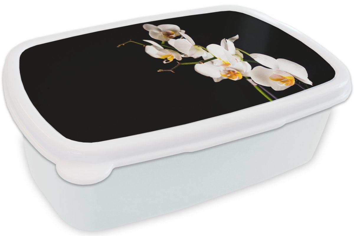 - und weiß Orchidee Lunchbox - für und Mädchen Kinder Blumen Erwachsene, Brotbox Pflanzen Jungs (2-tlg), Brotdose, - für MuchoWow Botanisch, Kunststoff,