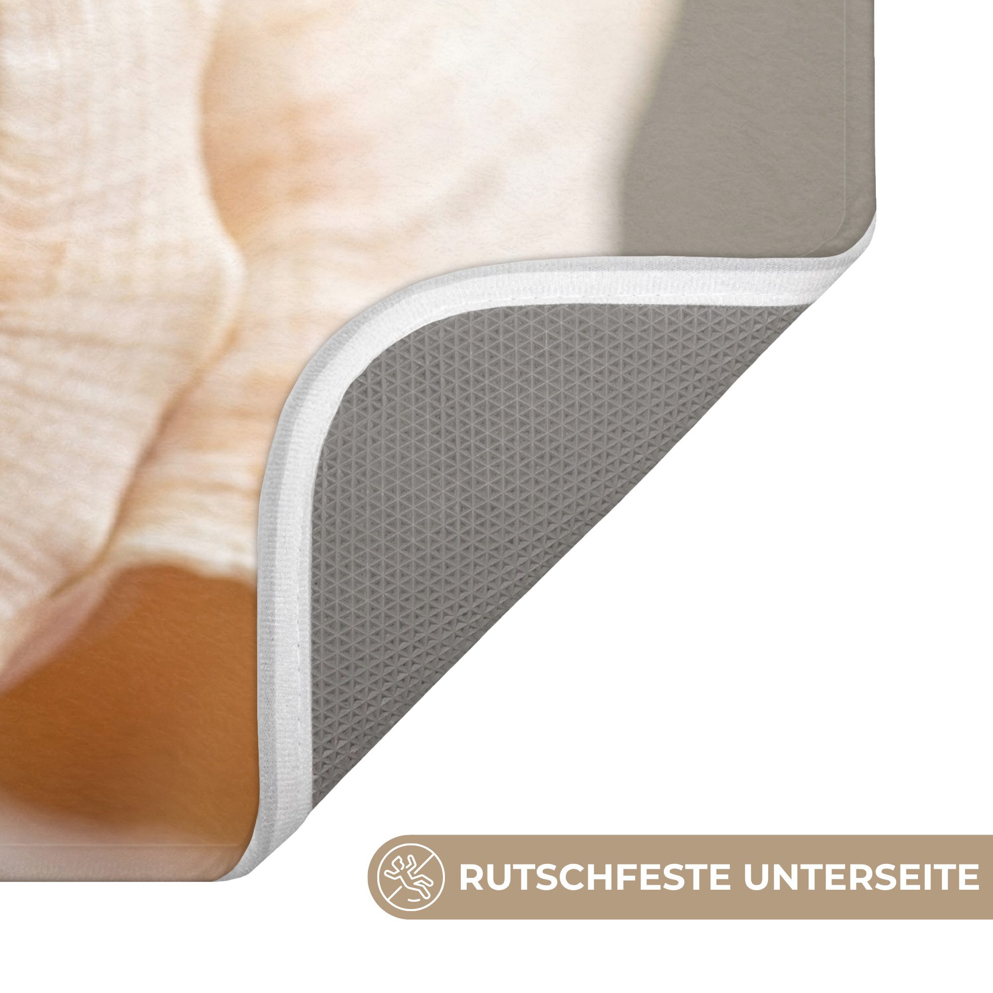 OnlyWow Badematte Muschel - Detail - Beige, Höhe 10 mm, Polyester, Rechteckig, Badezimmerteppich, Badteppich, Rutschfest, Badvorleger, Waschbar
