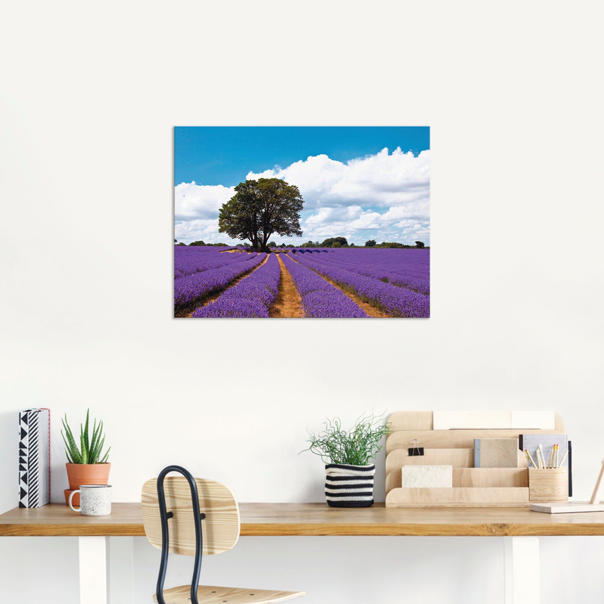 Wandbild Größen Leinwandbild, Artland Poster St), Lavendelfeld im Alubild, (1 Schönes oder Felder Sommer, in als versch. Wandaufkleber