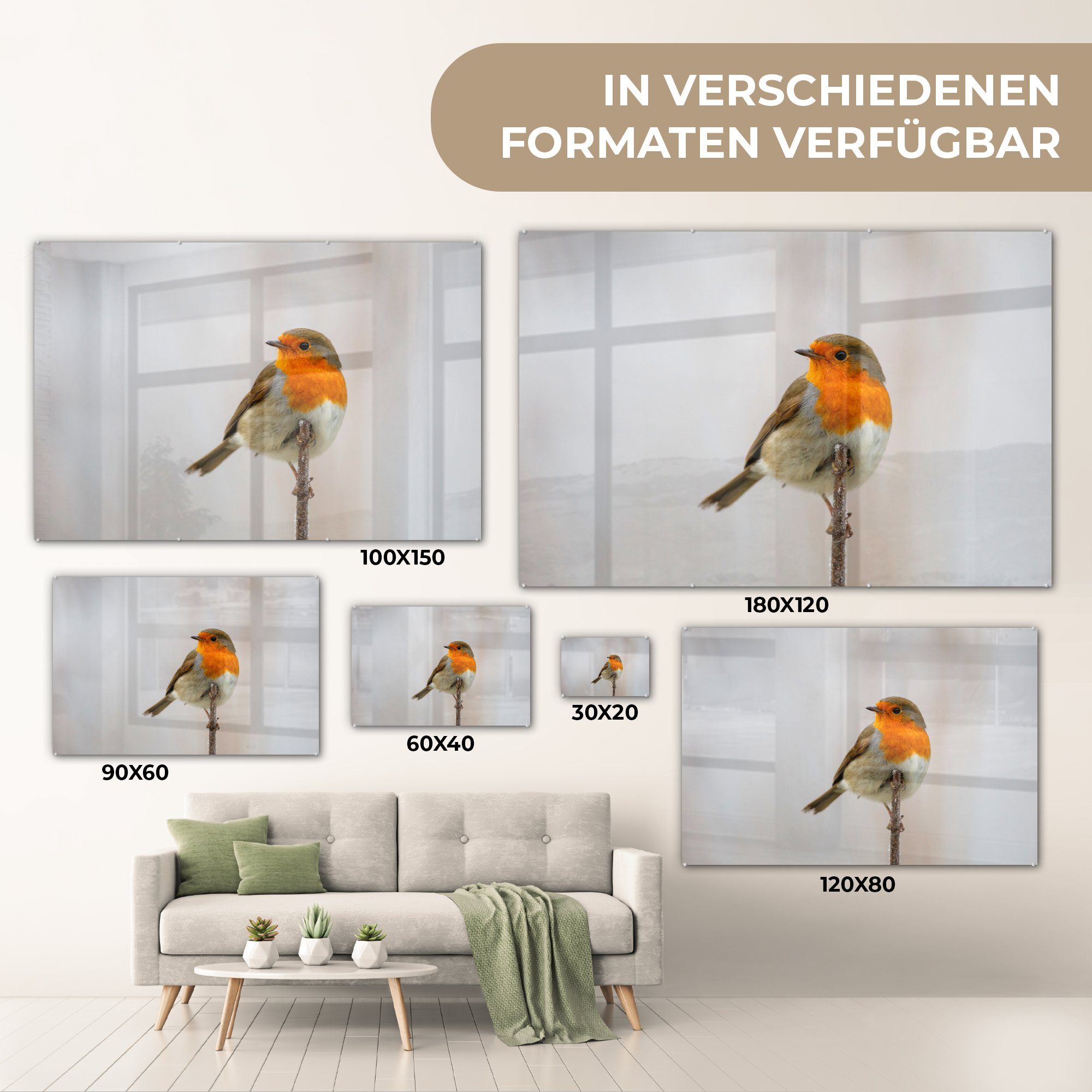 MuchoWow Acrylglasbild Rotkehlchen Schlafzimmer St), (1 Wohnzimmer - Tiere, & Acrylglasbilder - Zweige