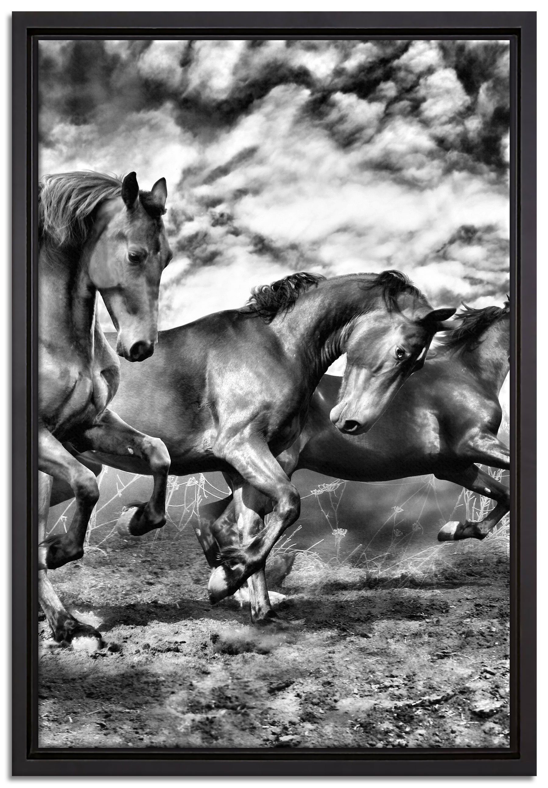 Pixxprint Leinwandbild Wildpferde, Wanddekoration (1 St), Leinwandbild fertig bespannt, in einem Schattenfugen-Bilderrahmen gefasst, inkl. Zackenaufhänger