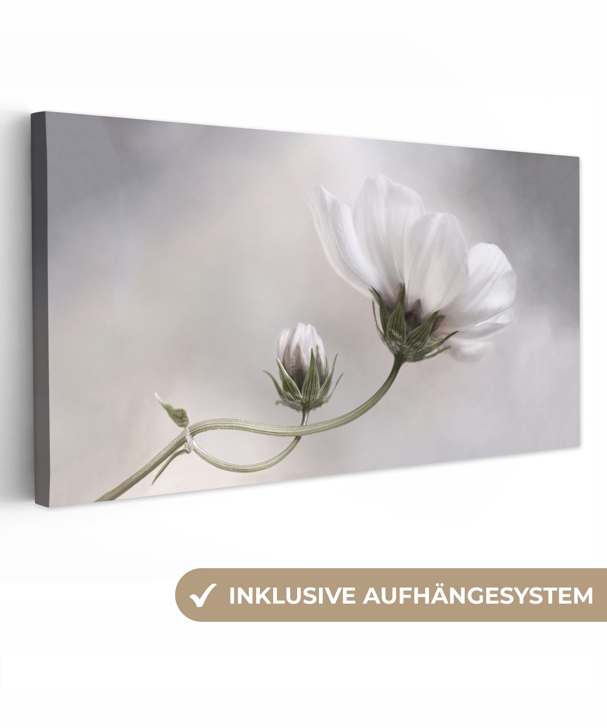 OneMillionCanvasses® Leinwandbild Panorama Blumen - Stillleben günstig online kaufen