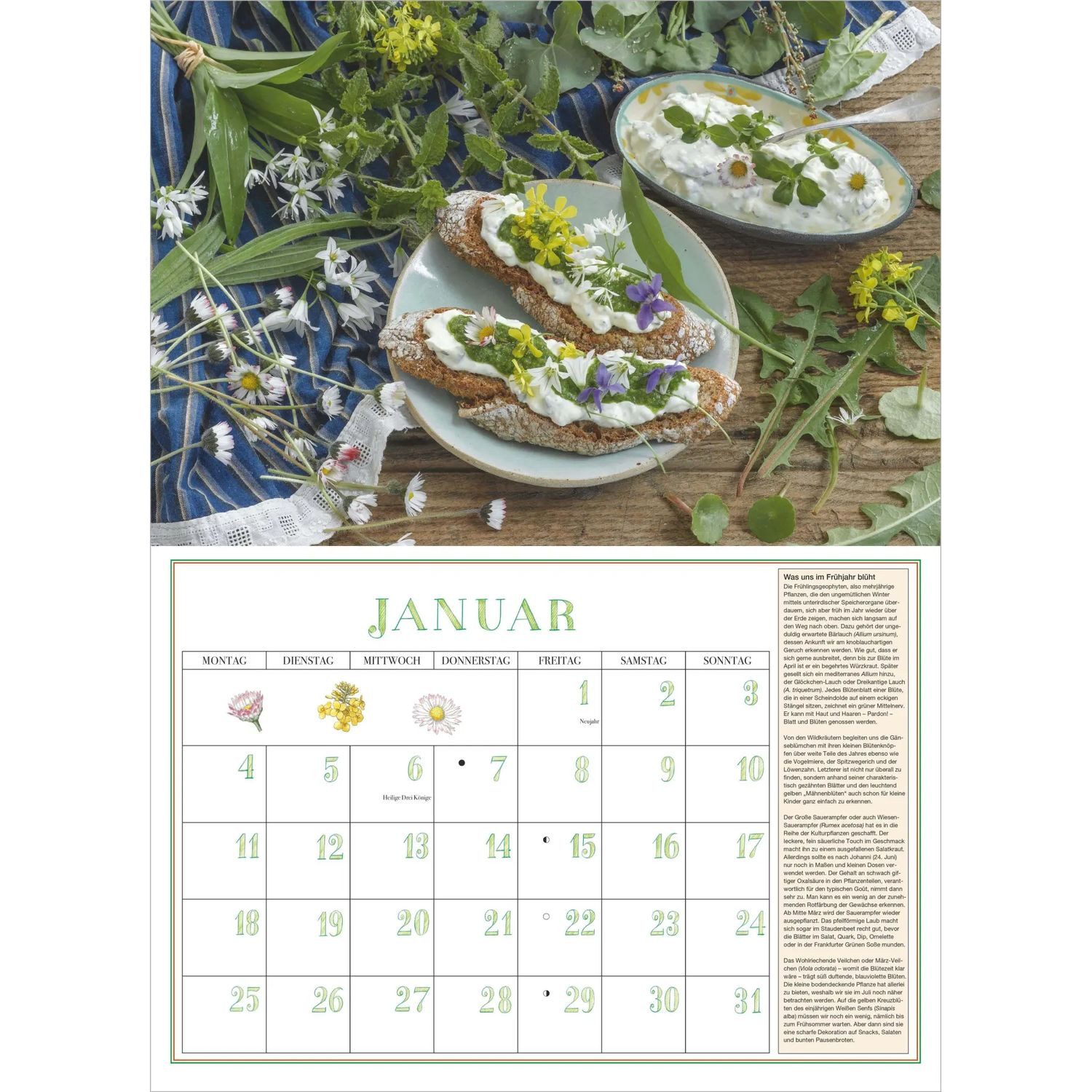 NEUMANN Wandkalender DuMonts Aromatische Kräuter 2027