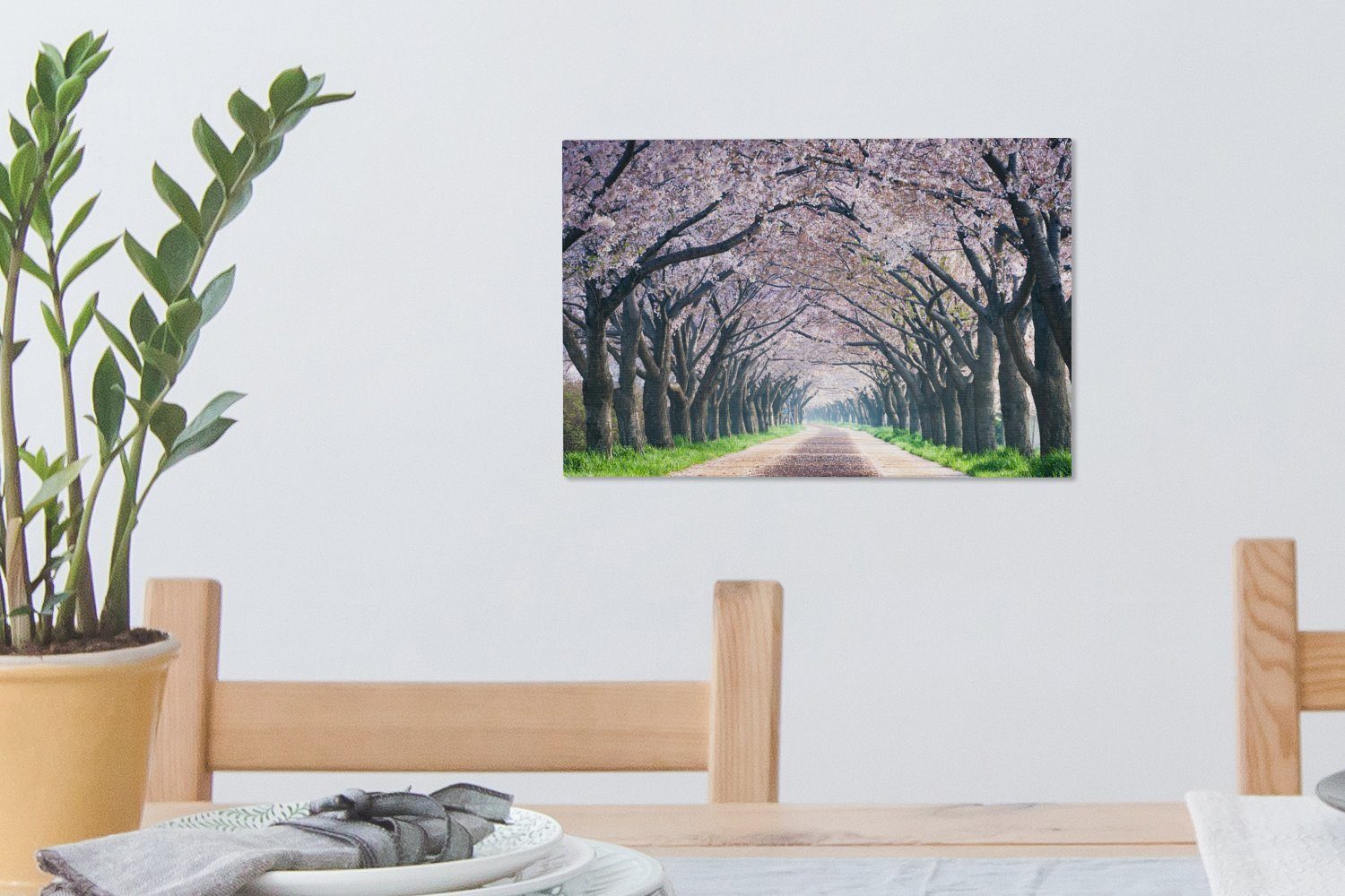 den OneMillionCanvasses® Wandbild cm Leinwandbilder, Bäumen, Wanddeko, in 30x20 St), Aufhängefertig, (1 Kirschblüte Leinwandbild