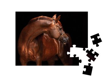 puzzleYOU Puzzle Porträt eines reinrassigen Araberhengstes, 48 Puzzleteile, puzzleYOU-Kollektionen Pferde, Araber Pferde