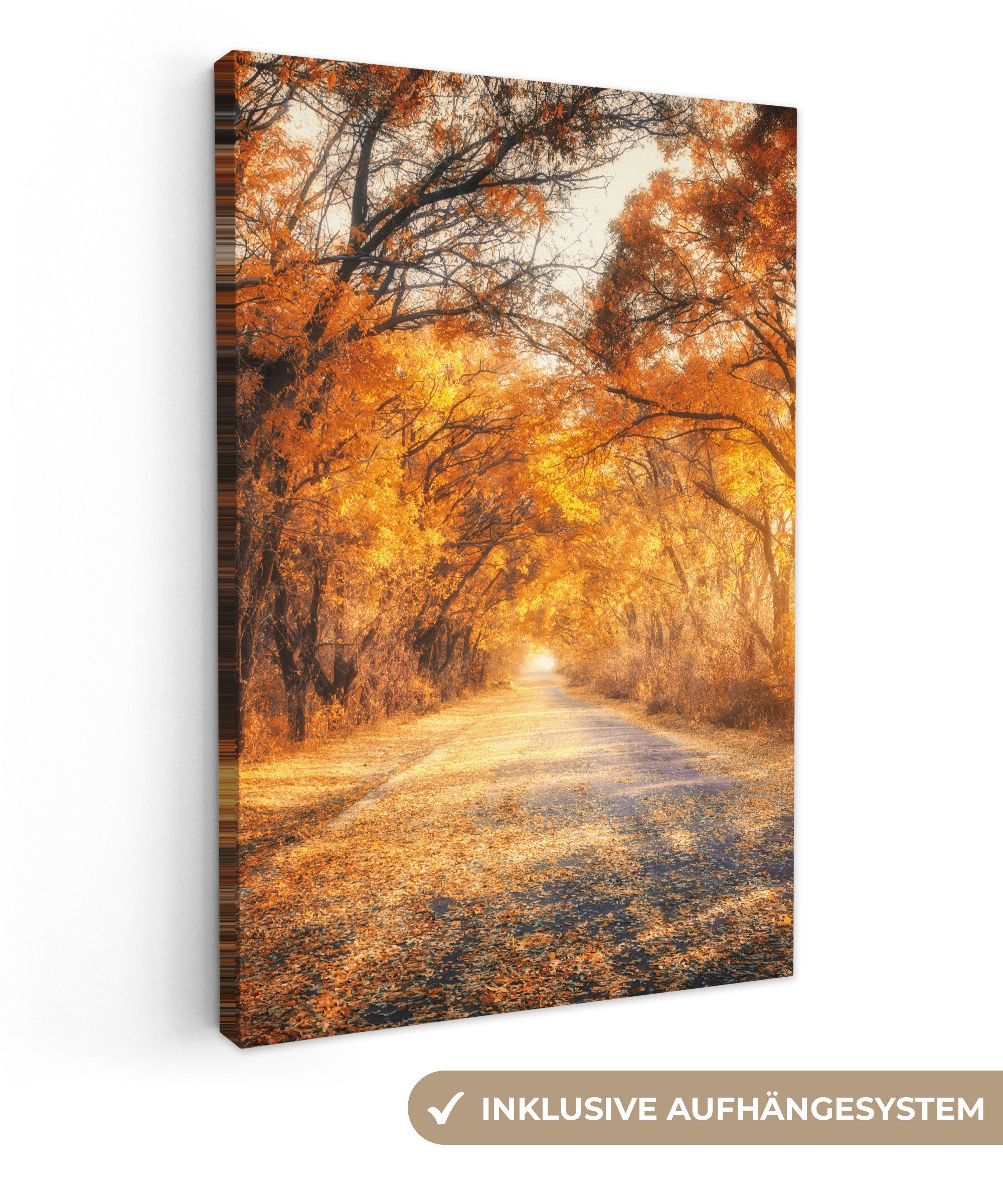 OneMillionCanvasses® Leinwandbild Wald - Herbst - Bäume - Weg - Natur, Foto günstig online kaufen