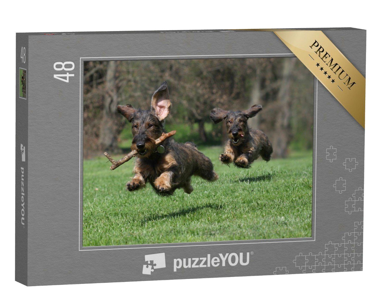 puzzleYOU Puzzle Zwei Hunde: Rasse Drahthaar-Dachshund, 48 Puzzleteile, puzzleYOU-Kollektionen Dackel