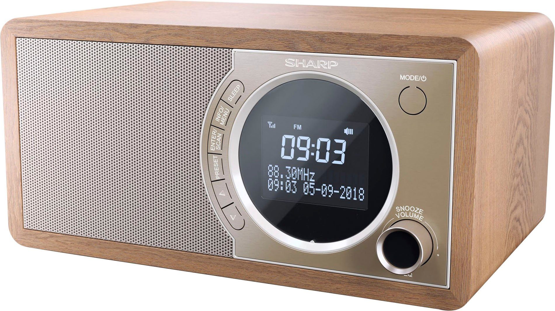 Sharp DR-450 Digitalradio (DAB) (Automatische Senderverfolgung, Digitalradio (DAB), FM-Tuner mit RDS, 6 W)
