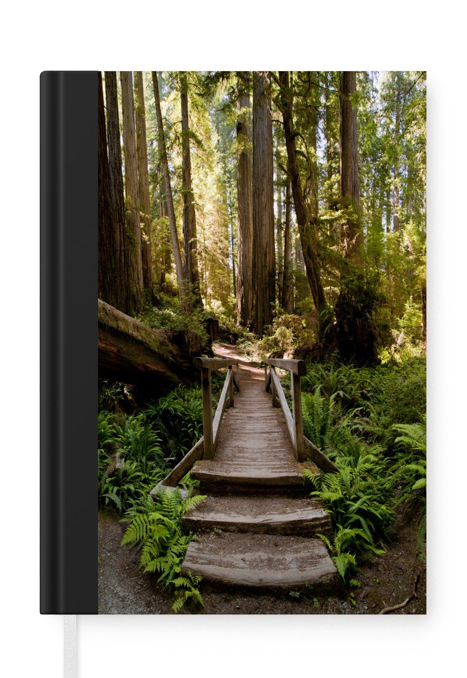[Preise wurden überarbeitet] MuchoWow Notizbuch Dschungel Treppe - Bäume, Haushaltsbuch Notizheft, Tagebuch, A5, Journal, - Merkzettel, Seiten, Natur - 98