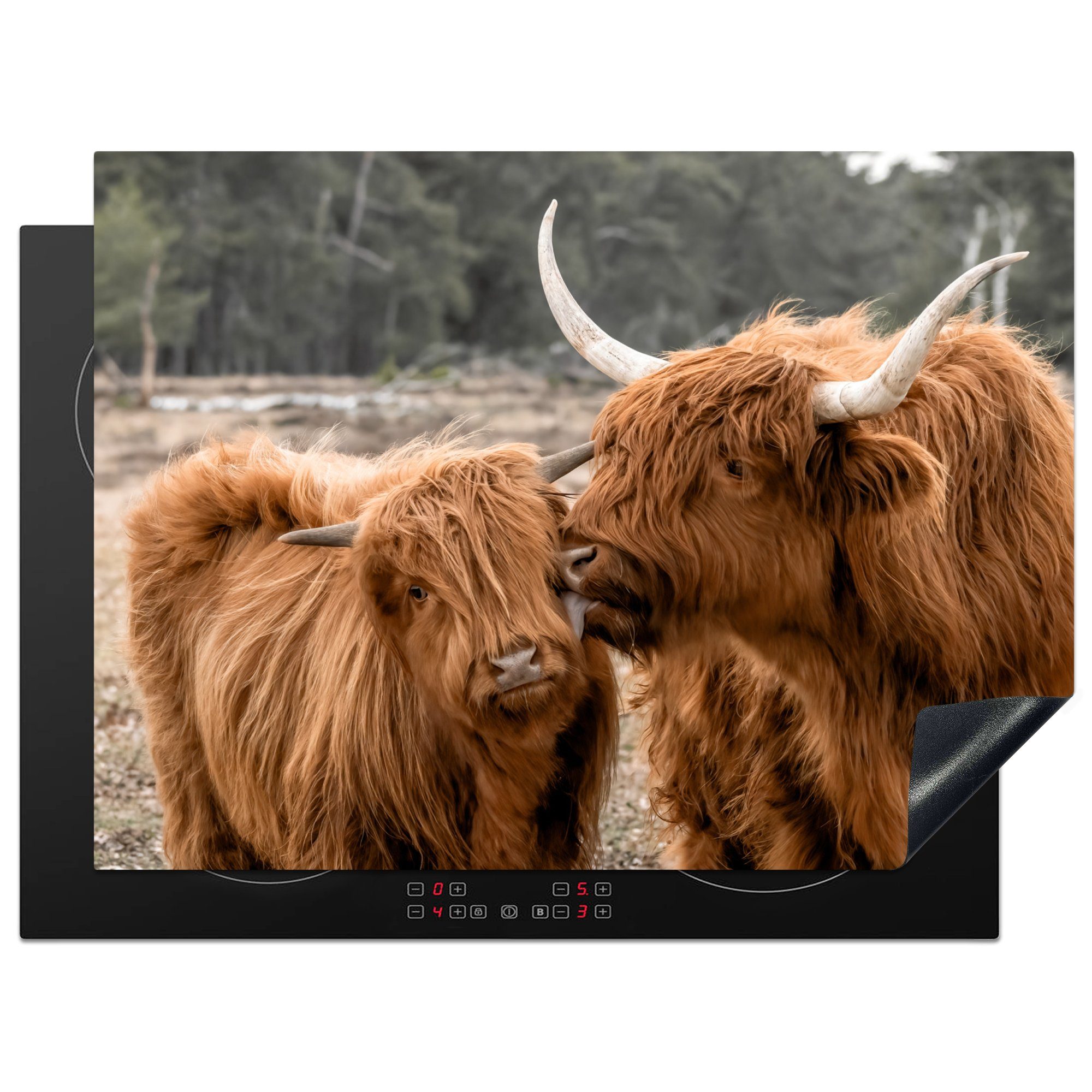 MuchoWow Herdblende-/Abdeckplatte Schottische Highlander - Tiere - Liebe, Vinyl, (1 tlg), 71x52 cm, Induktionskochfeld Schutz für die küche, Ceranfeldabdeckung