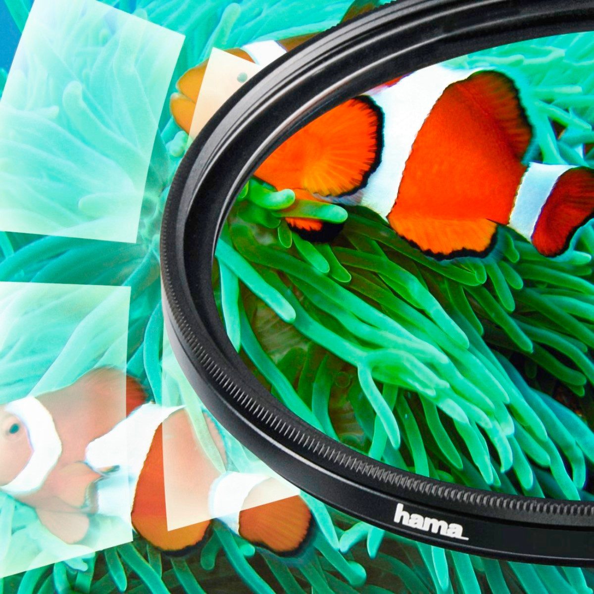 Hama Polarisations-Filter 62mm Pol-Filter circular Vergütet Foto Objektivzubehör (Polarisations-Filter, Farbneutral, für kräftige Farben)