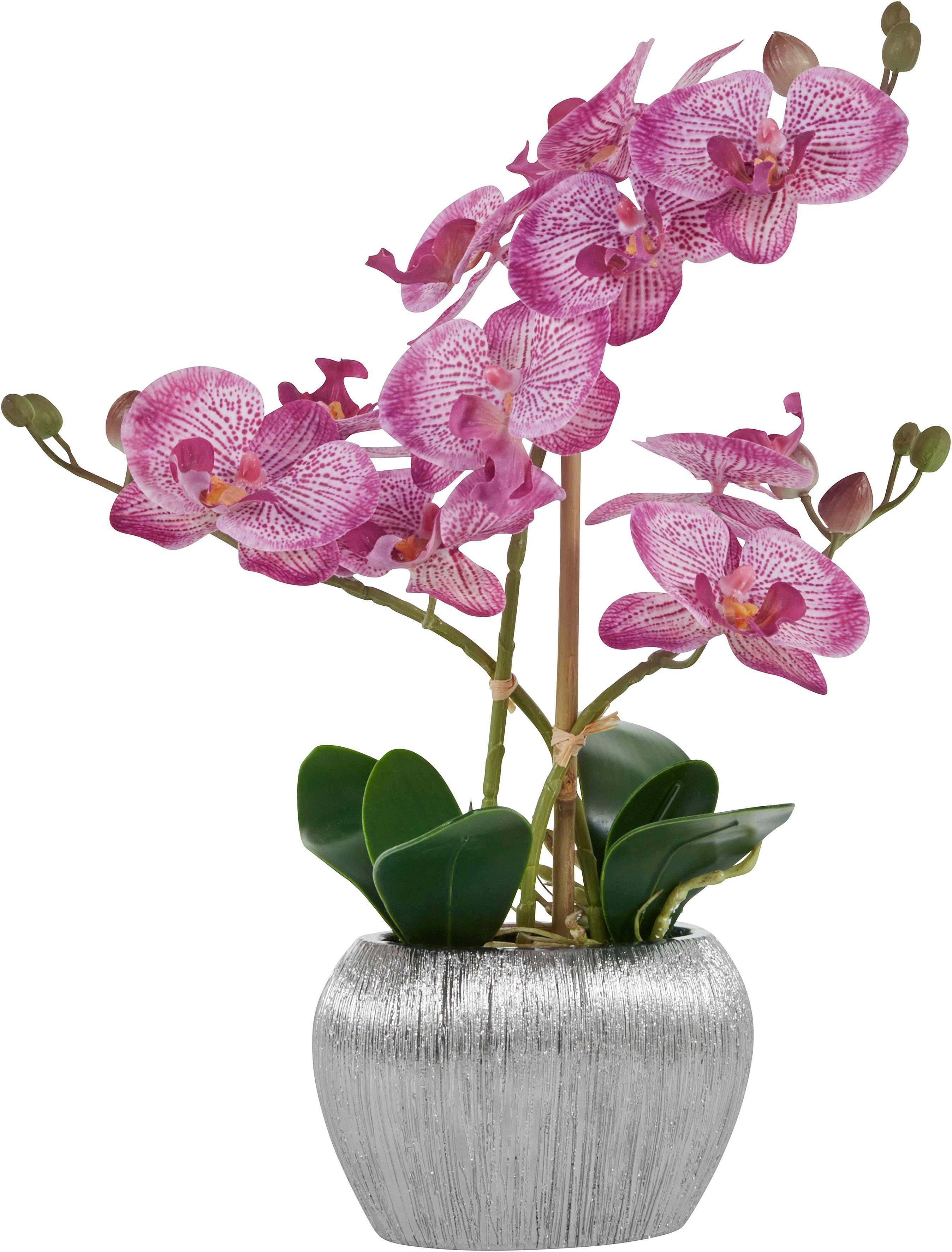 Kunstpflanze Orchidee, Home affaire, Höhe 38 cm, Kunstorchidee, im Topf