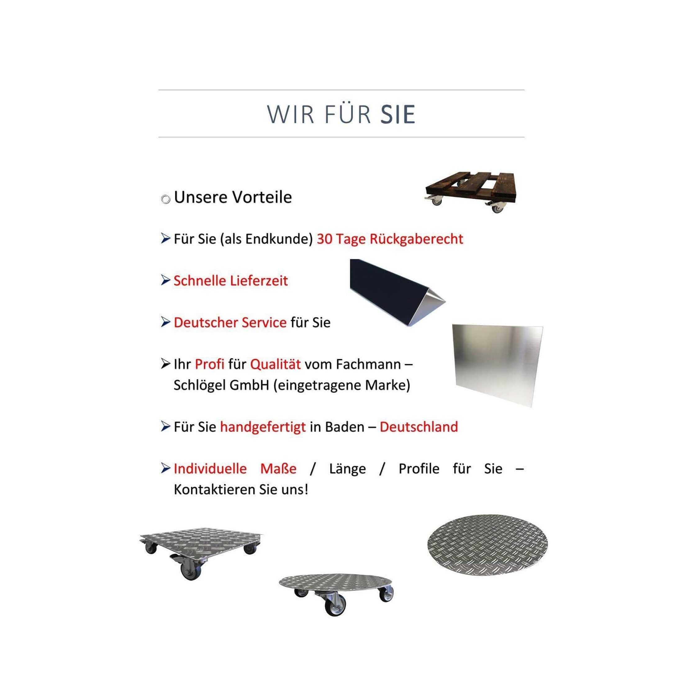 Schlögel Winkelprofil Winkel Ral9010 Reinweiß 1mm Alu, 1000mm 25x25mm 90 Grad