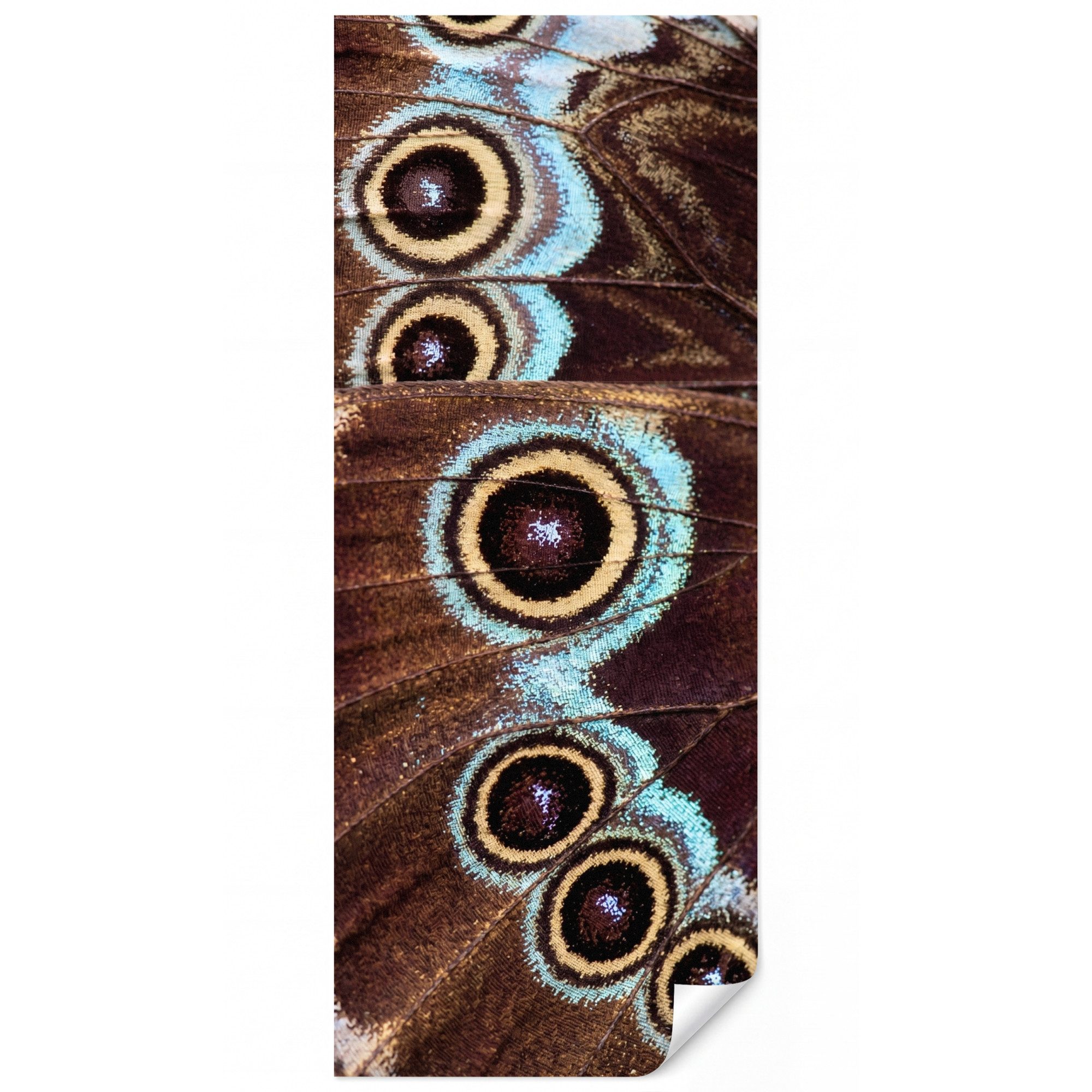 OnlyWow Fototapete Flügel - Schmetterling - Blau, Matt, bedruckt, Wohnzimmer, Küche, Wandtapete, Wanddekoration 120x280cm