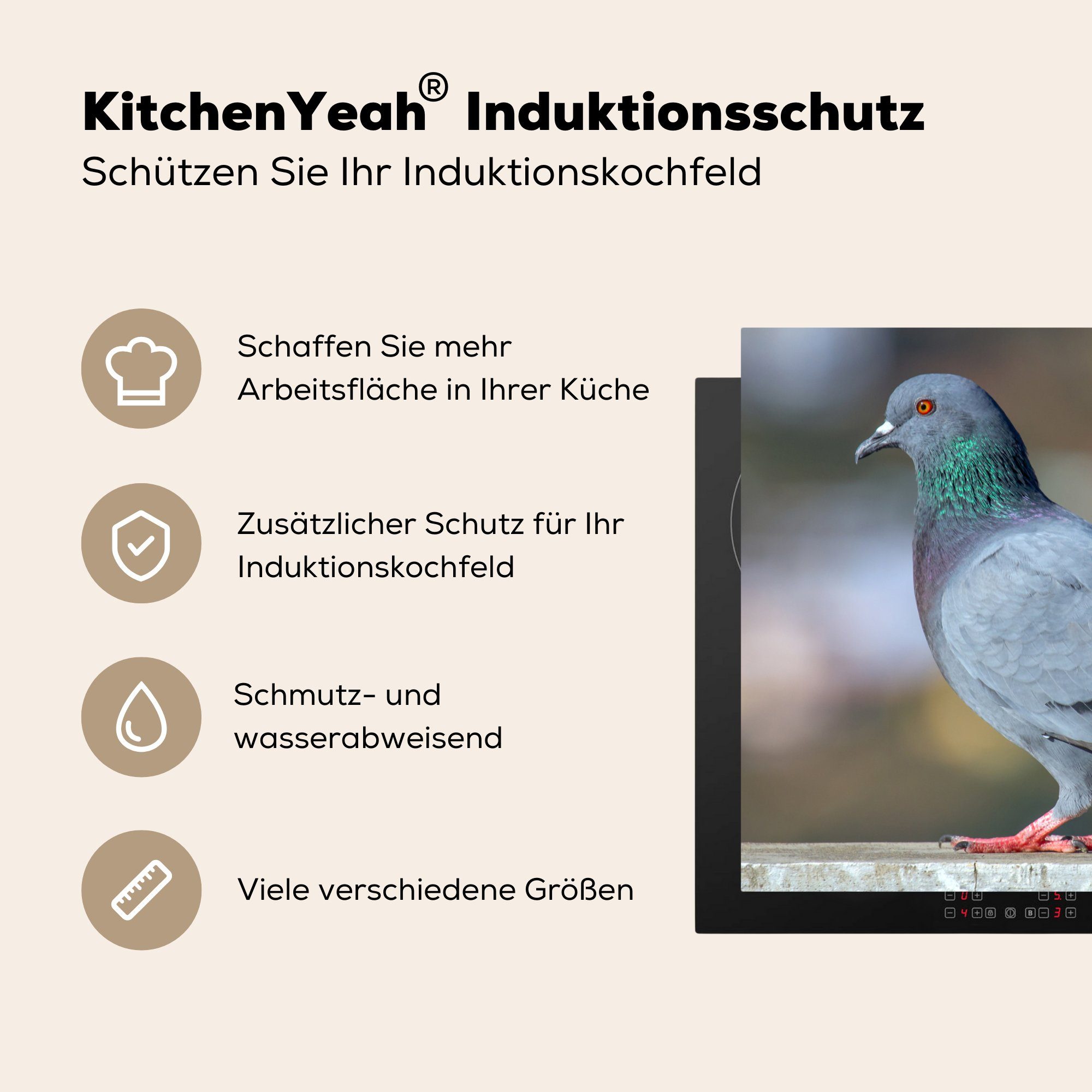 cm, 78x78 Herdblende-/Abdeckplatte küche tlg), - MuchoWow Baumstamm, - (1 für Ceranfeldabdeckung, Vogel Taube Vinyl, Arbeitsplatte