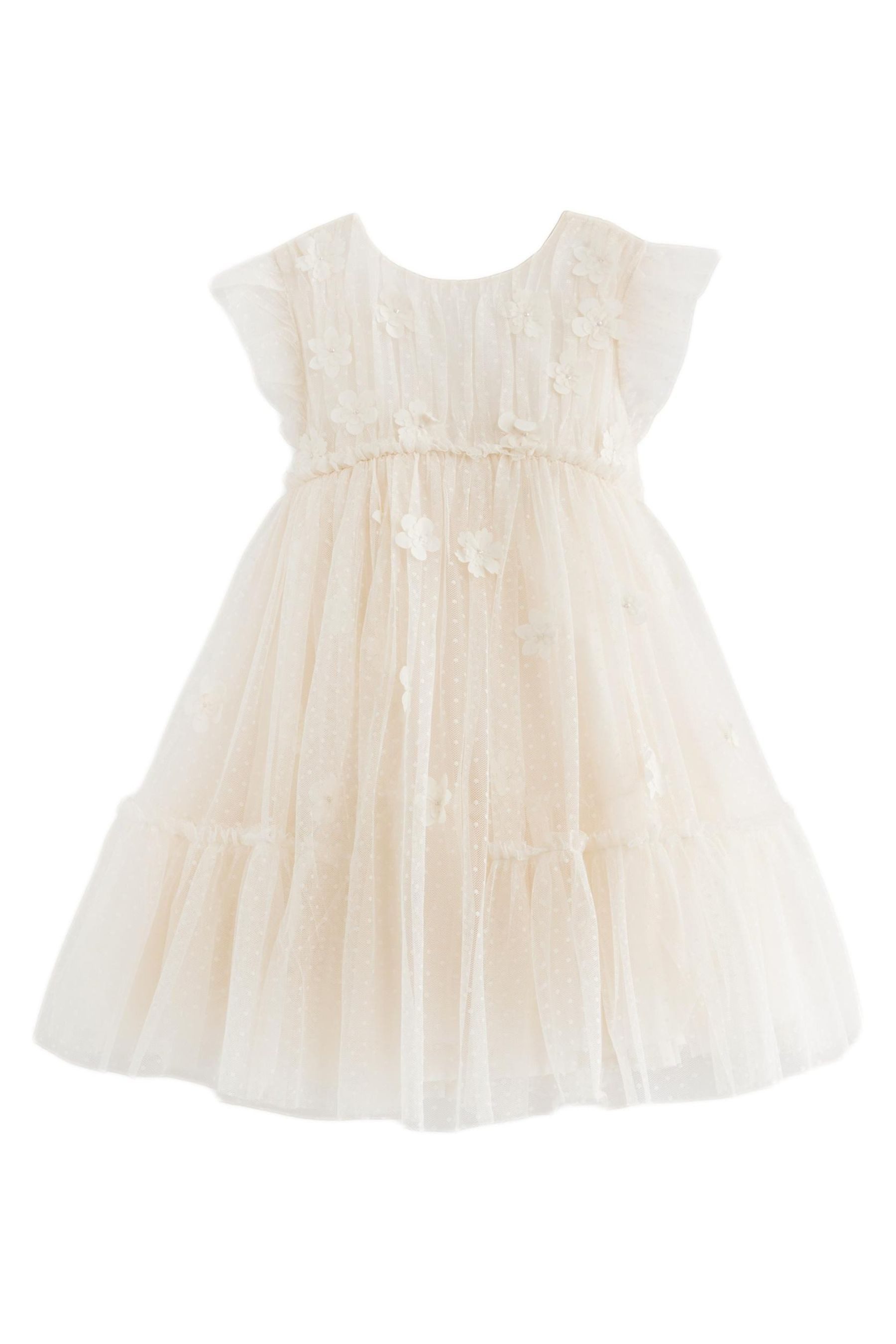 Next Partykleid Brautjungfernkleid mit Netzstoff (1-tlg)