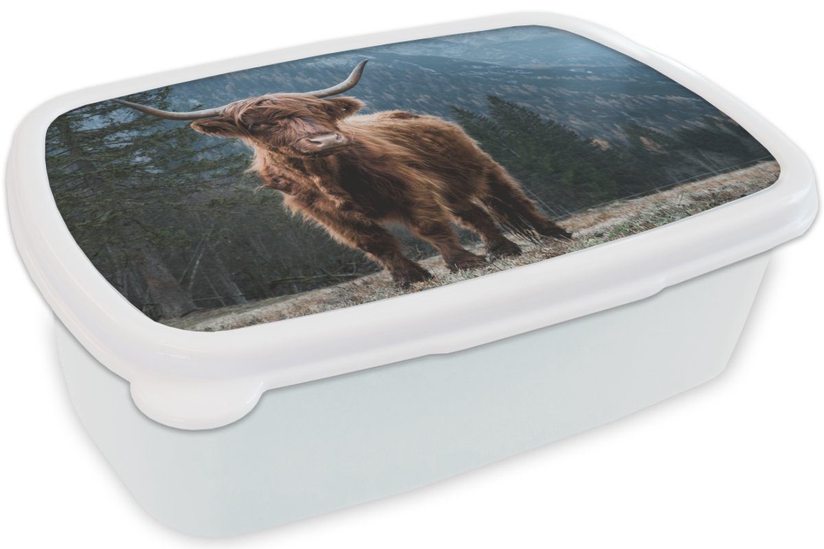 MuchoWow Lunchbox Schottische Highlander - für Jungs (2-tlg), und Kuh - für Brotbox - weiß - Brotdose, Bäume Kinder Landschaft Erwachsene, Natur, Berg - und Mädchen Kunststoff