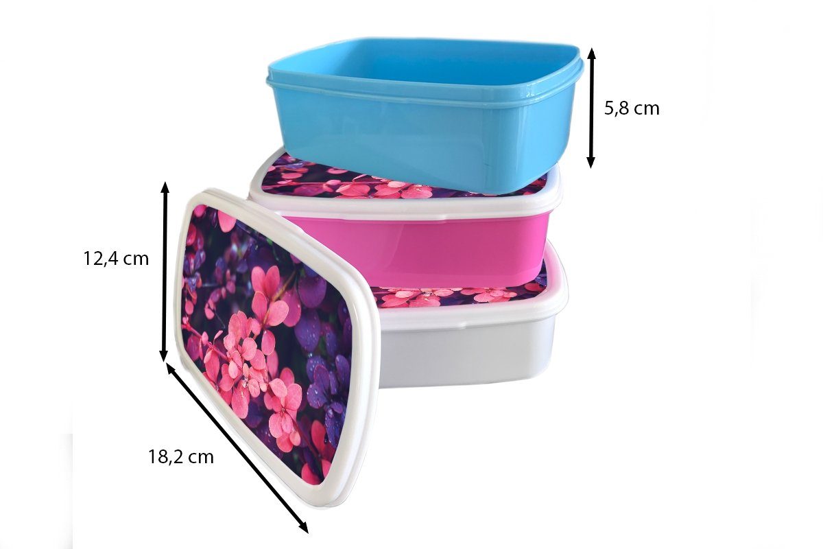 - Kunststoff Brotdose Lila MuchoWow Lunchbox Snackbox, Erwachsene, Blumen für Kinder, Kunststoff, Mädchen, rosa - (2-tlg), Natur, Brotbox