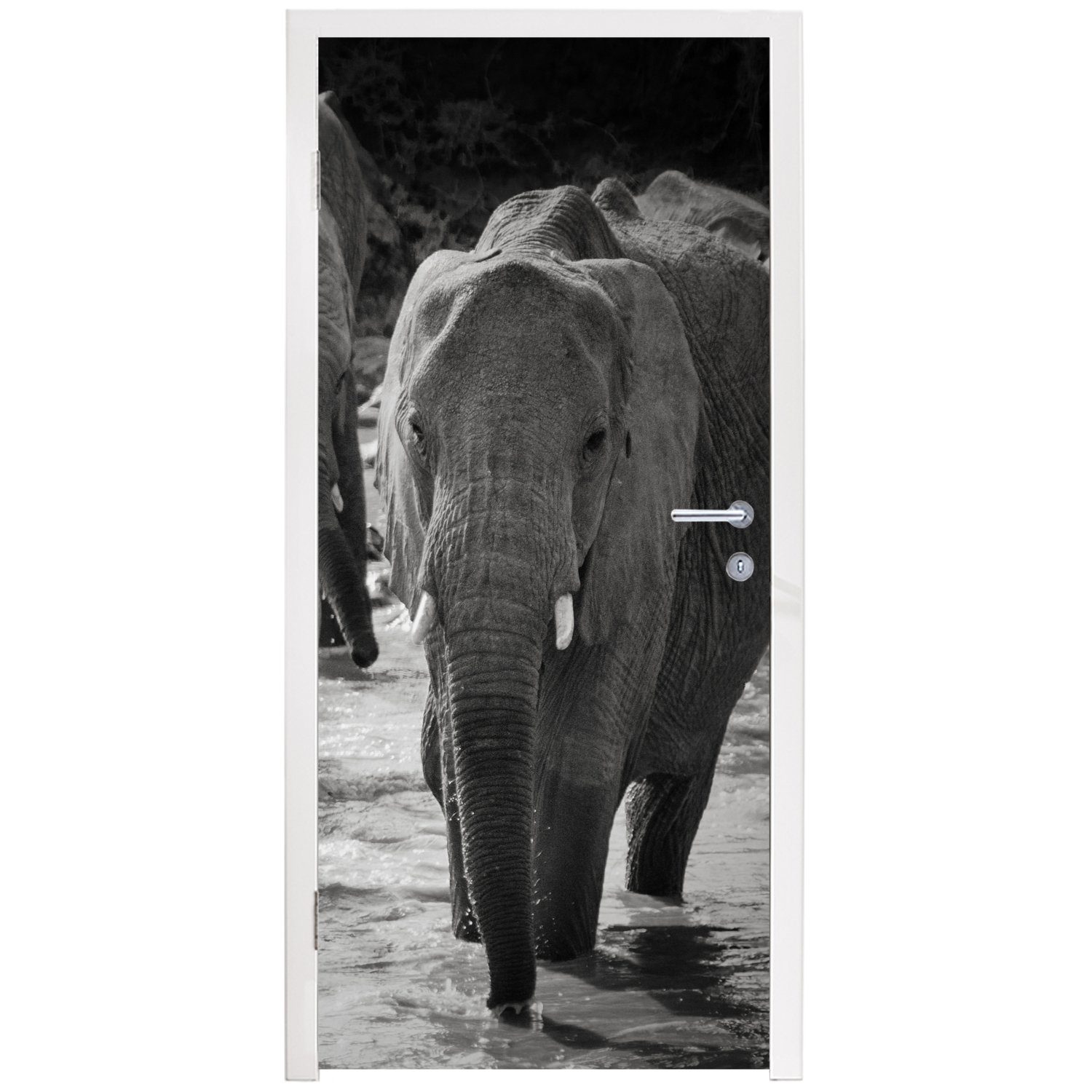 MuchoWow Schwarz Türtapete Wasser St), Elefant und - Türaufkleber, Matt, (1 bedruckt, Fototapete Tiere - 75x205 cm - Tür, für weiß,