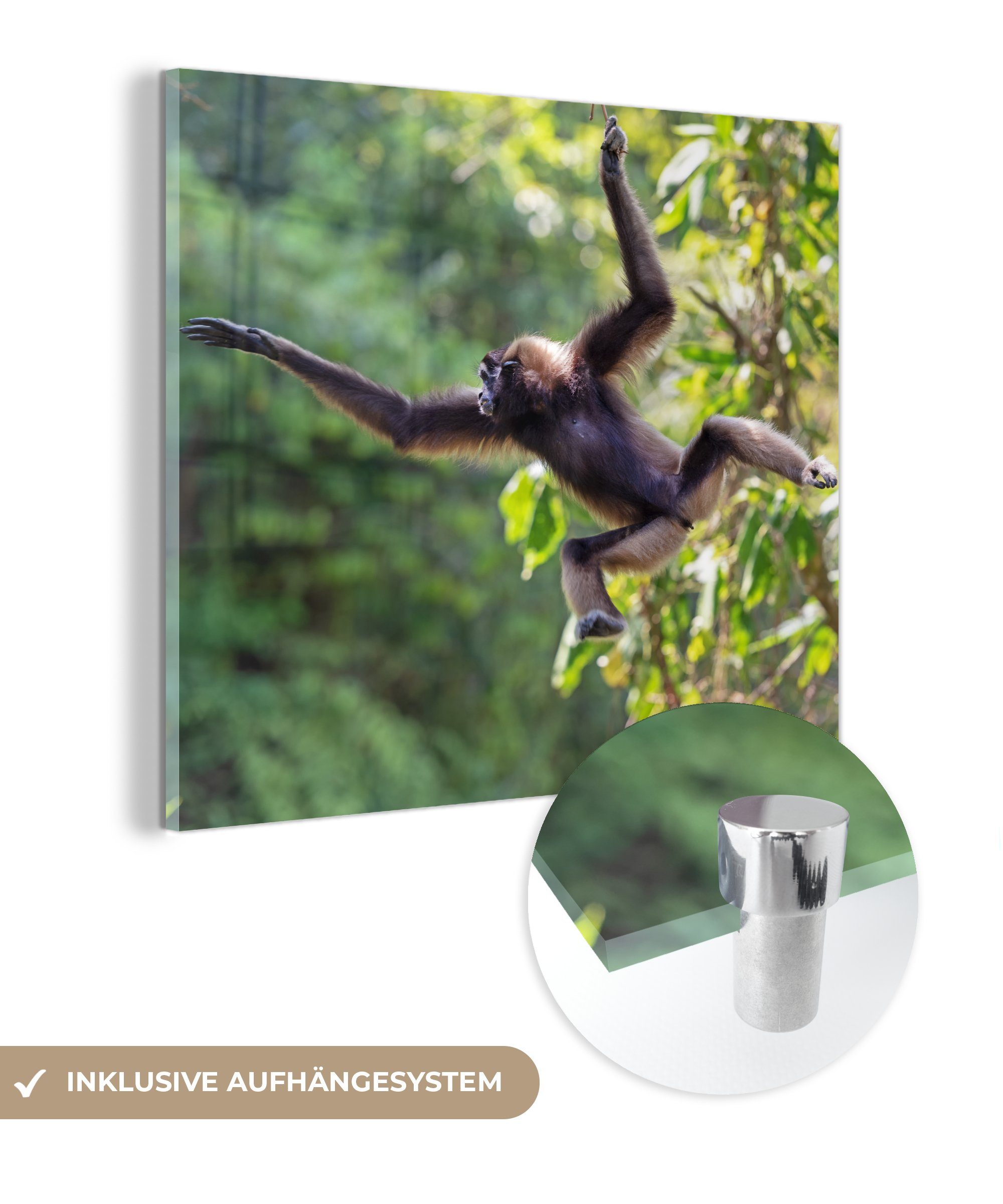 MuchoWow Acrylglasbild Springender Affe im Dschungel, (1 St), Glasbilder - Bilder auf Glas Wandbild - Foto auf Glas - Wanddekoration