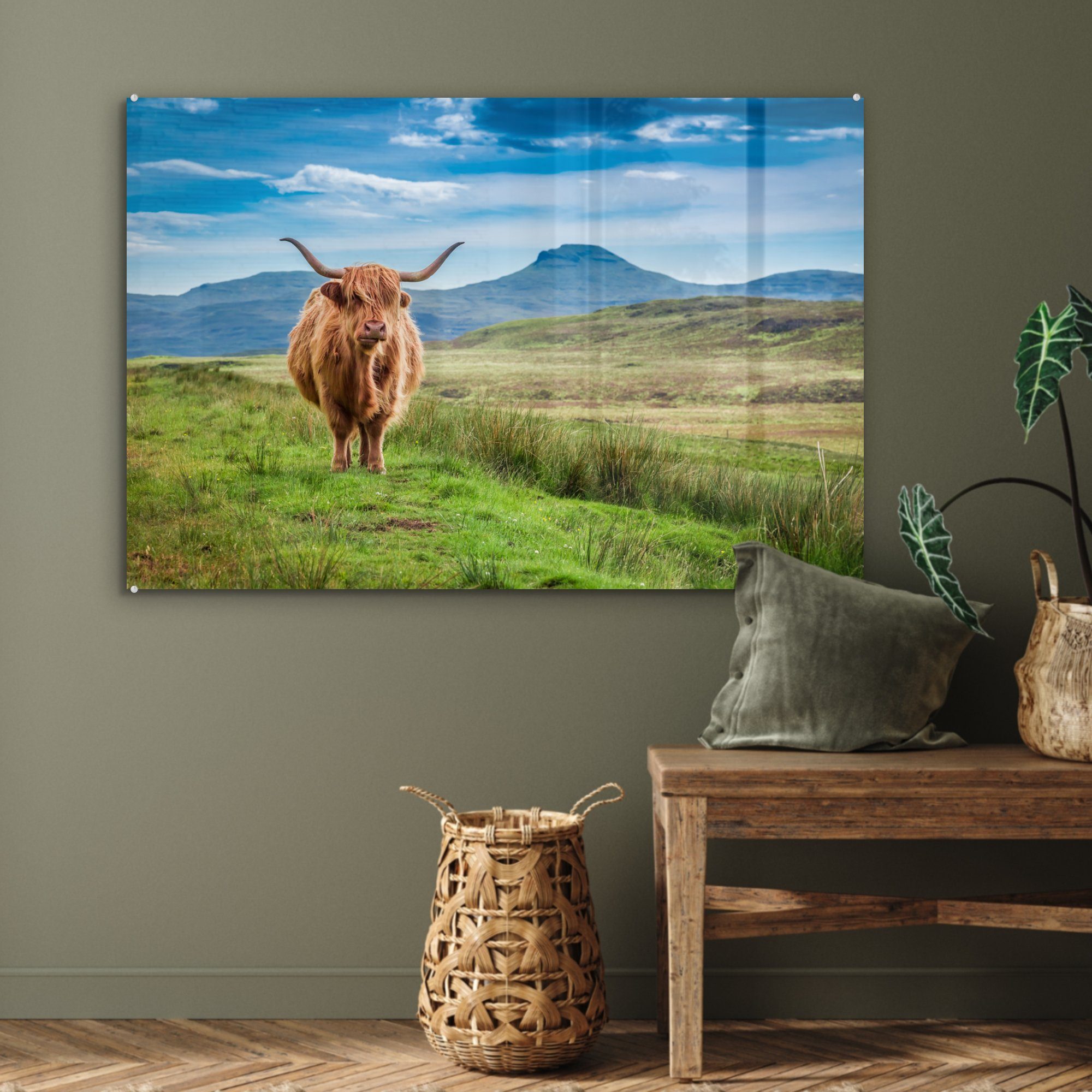 MuchoWow - Schottland, Kuh Acrylglasbilder Schlafzimmer Wohnzimmer - & St), Acrylglasbild (1 Landschaft