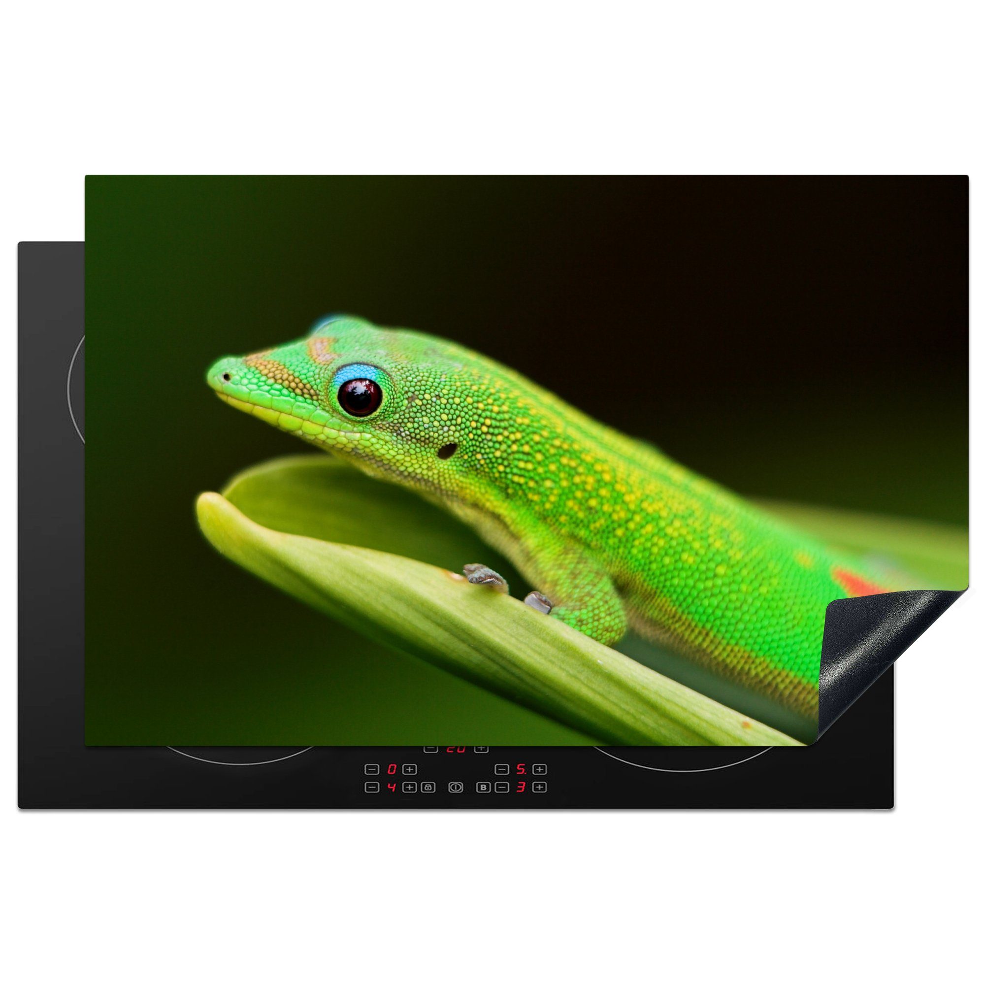 MuchoWow Herdblende-/Abdeckplatte Grüner Gecko auf einem Blatt, Vinyl, (1 tlg), 81x52 cm, Induktionskochfeld Schutz für die küche, Ceranfeldabdeckung