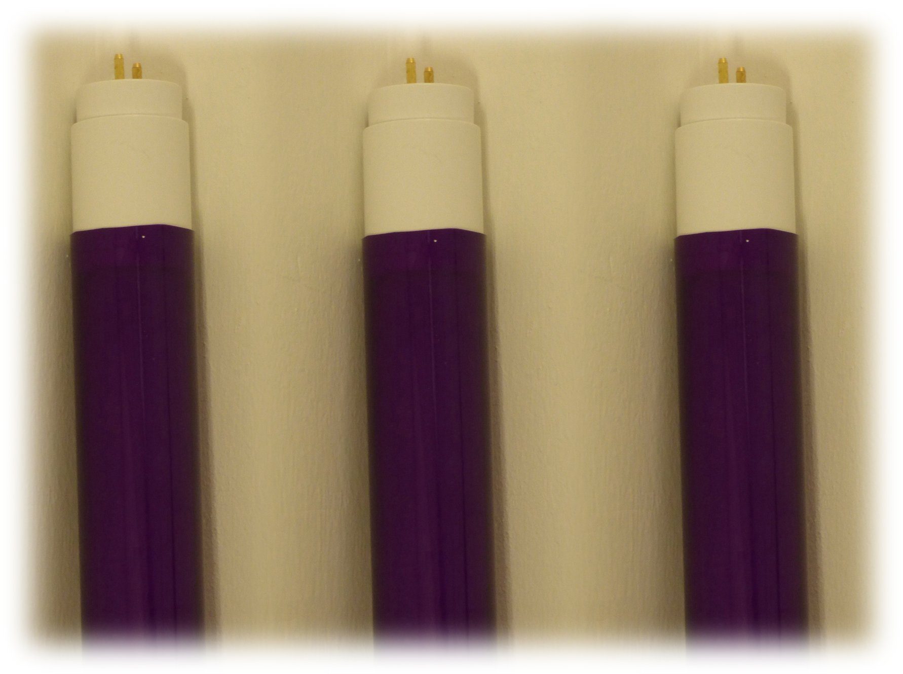 Röhre Satz Dekolicht LED, 1000 Kunststoff Violett Xenon 8876 / LED T8 60cm VIOLETT, Watt LED XENON Lumen 9 3er