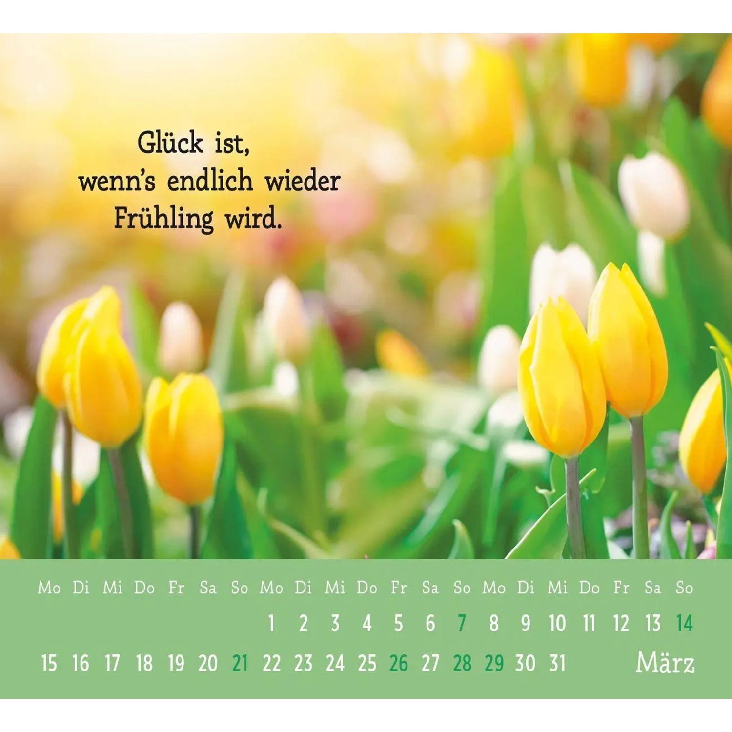 groh Verlag Monatskalender Mini-Kalender 2027: Der kleine Glückskalender