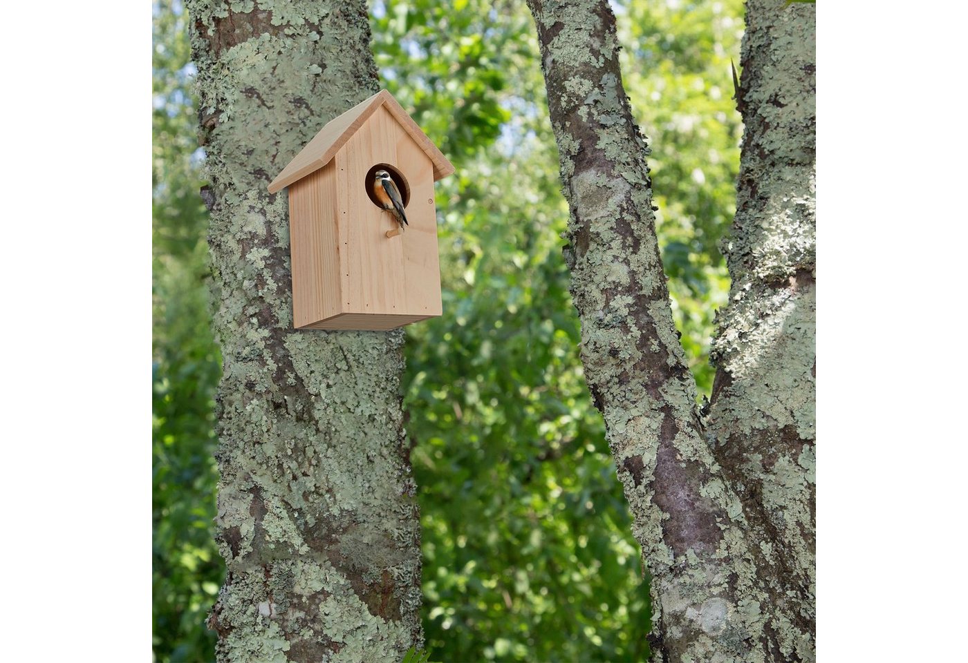Thumbnail - relaxdays Vogelhaus Aufklappbarer Nistkasten