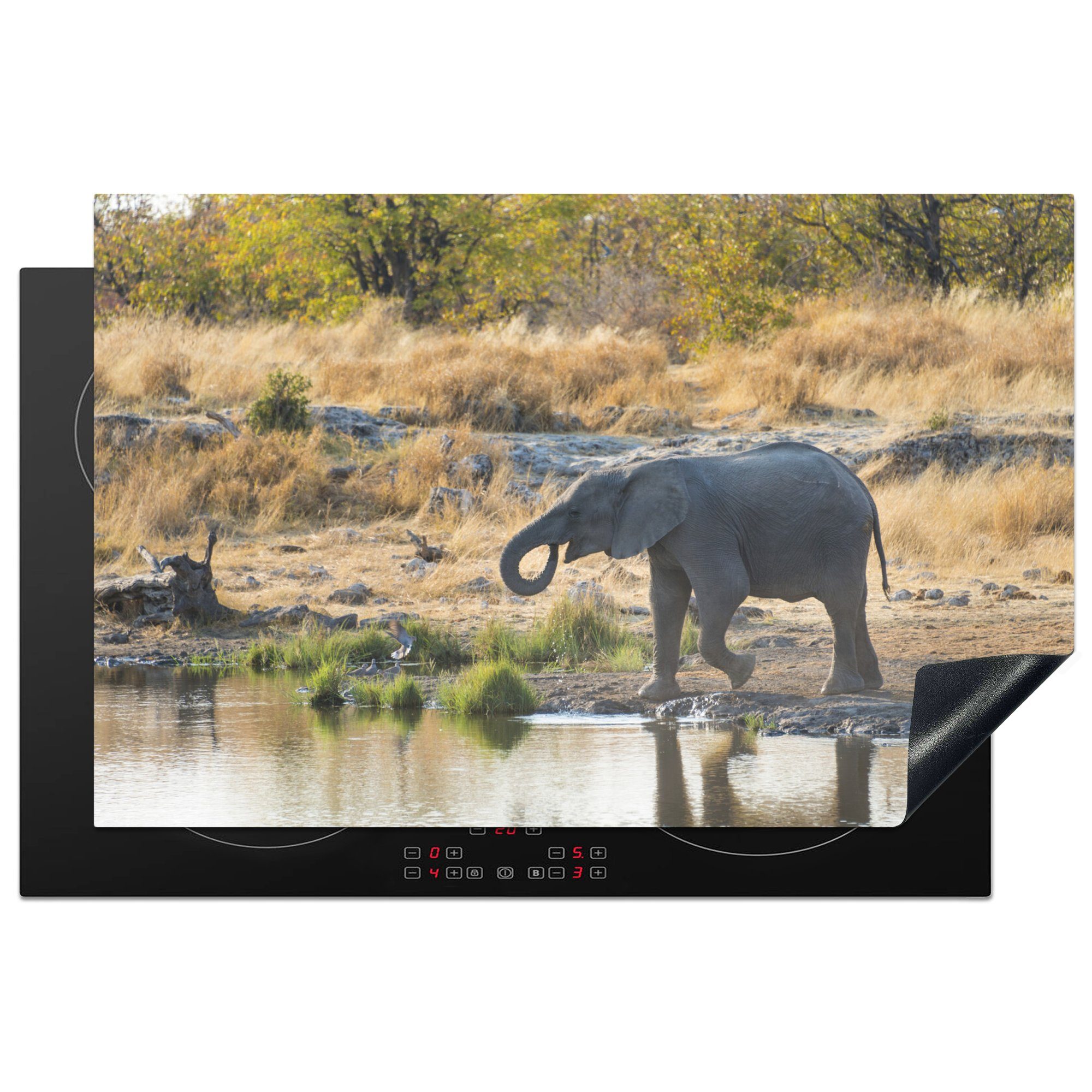 Elefantenbaby MuchoWow Ceranfeldabdeckung die (1 Wasserpfütze cm, Herdblende-/Abdeckplatte einer küche, Vinyl, Schutz Namibia, an 81x52 tlg), für in Induktionskochfeld